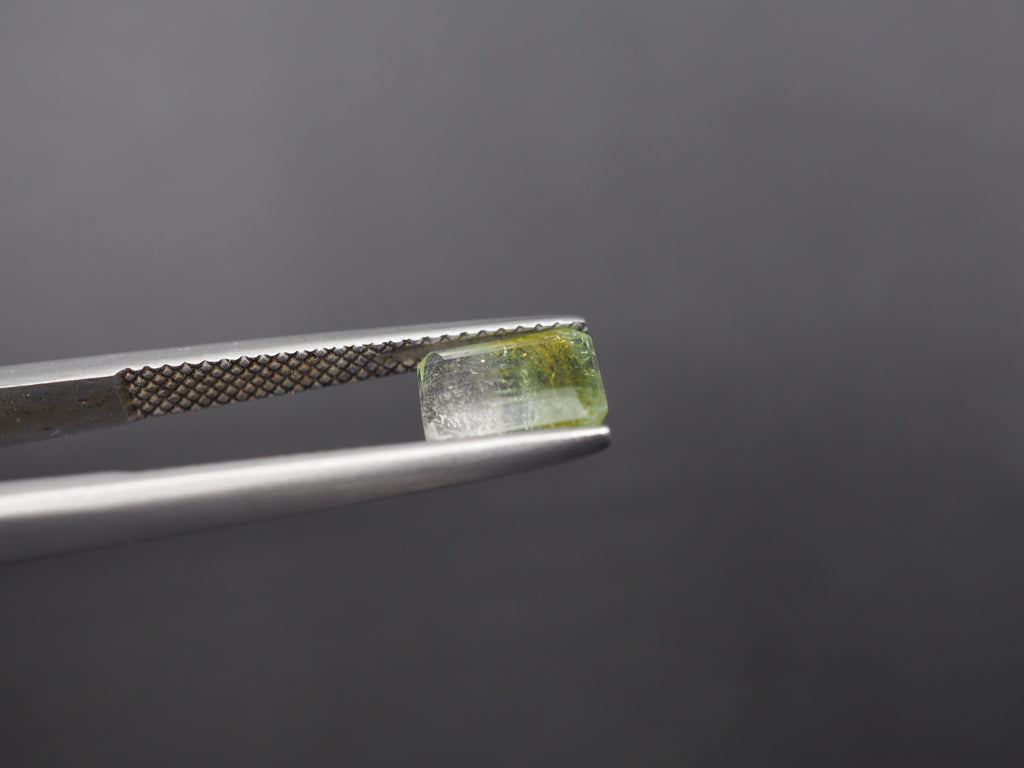 Watermelon Tourmaline Faceted Gemstone 8.1x6.3 mm