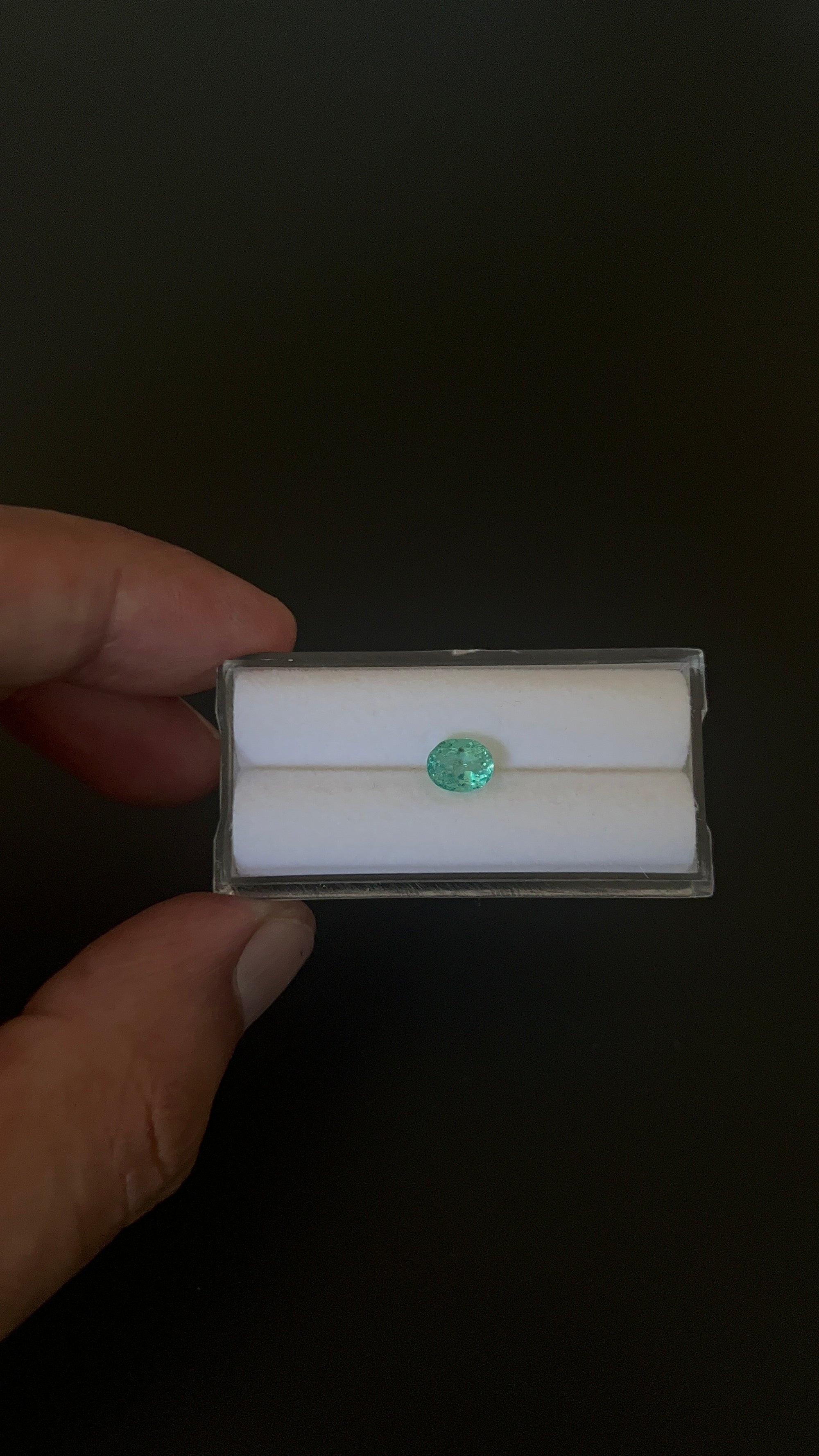 Natural Blue Apatite Faceted 6.7x5.4 mm Approximately .93 Carat (GTG-AP-117)