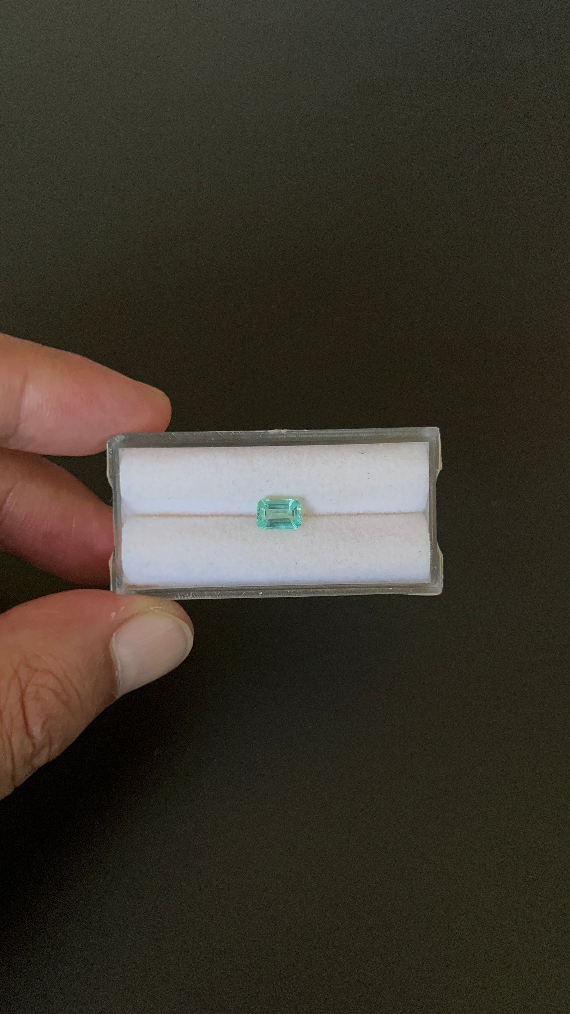 Natural Blue Apatite Faceted 6.7x4.6 mm Approximately .79 Carat (GTG-AP-120)