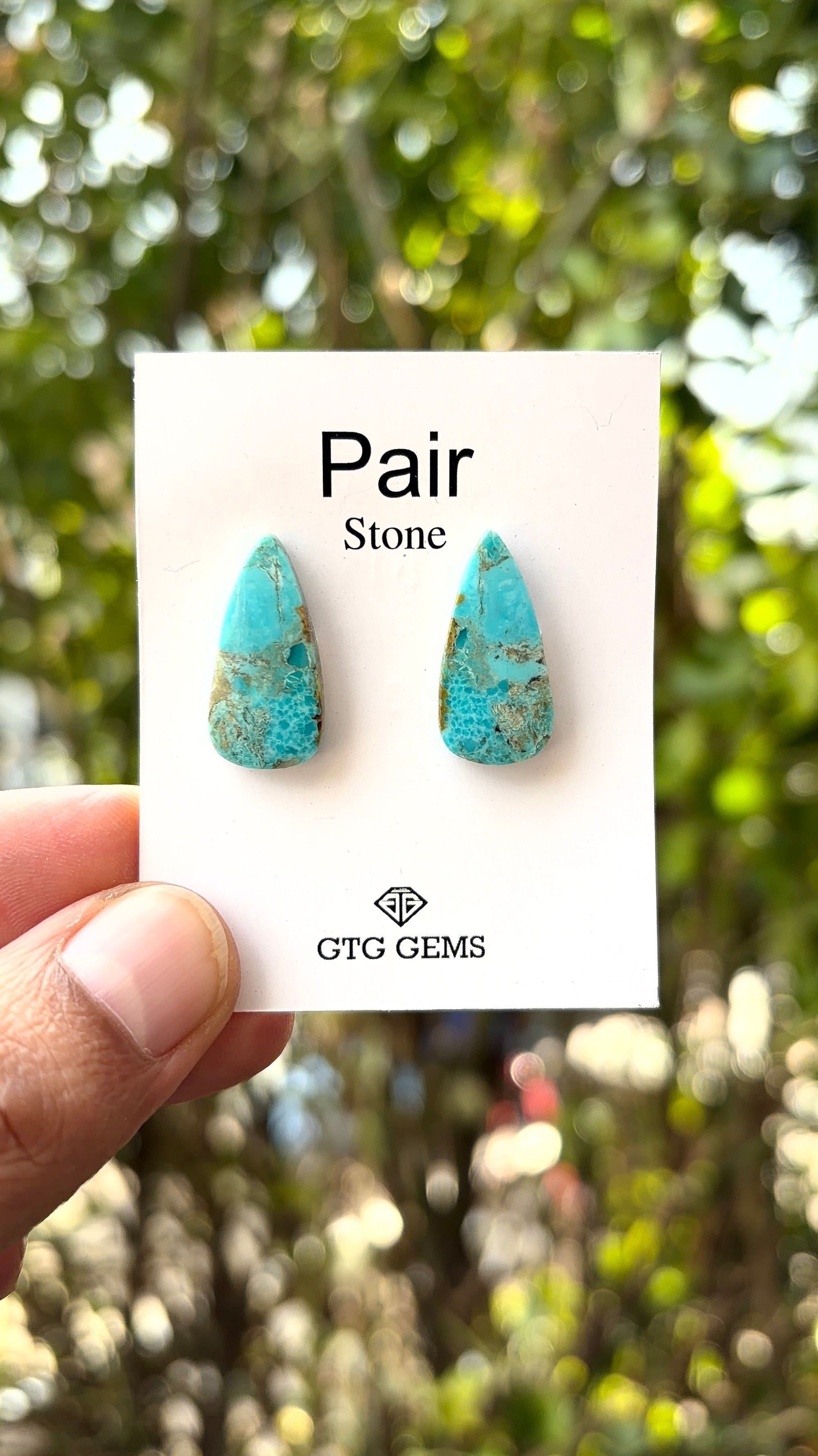 American Turquoise Cabochon Matching Pair 21x9 mm