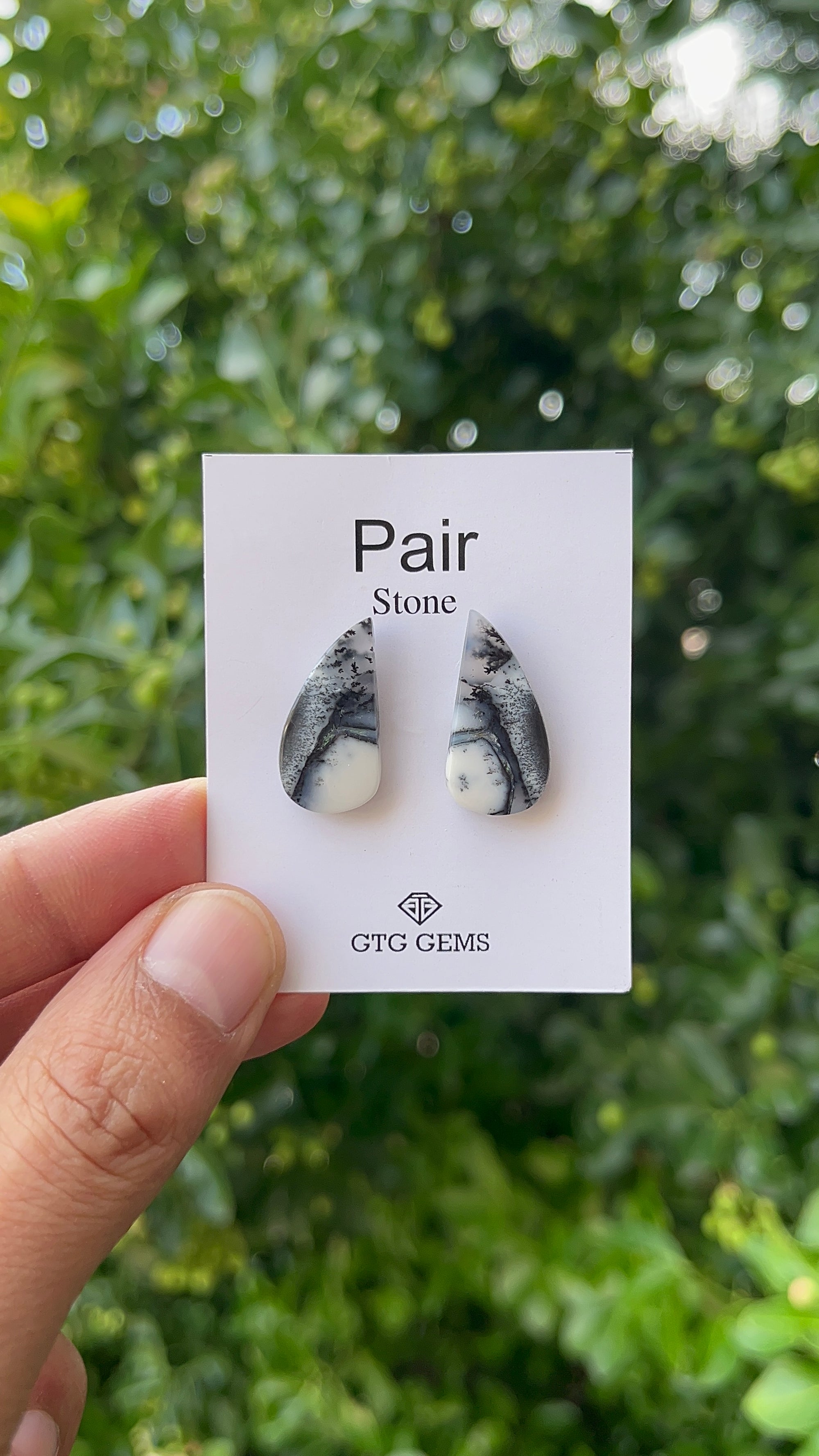 Dendritic Opal Cabochon Matching Pair 22x12 mm