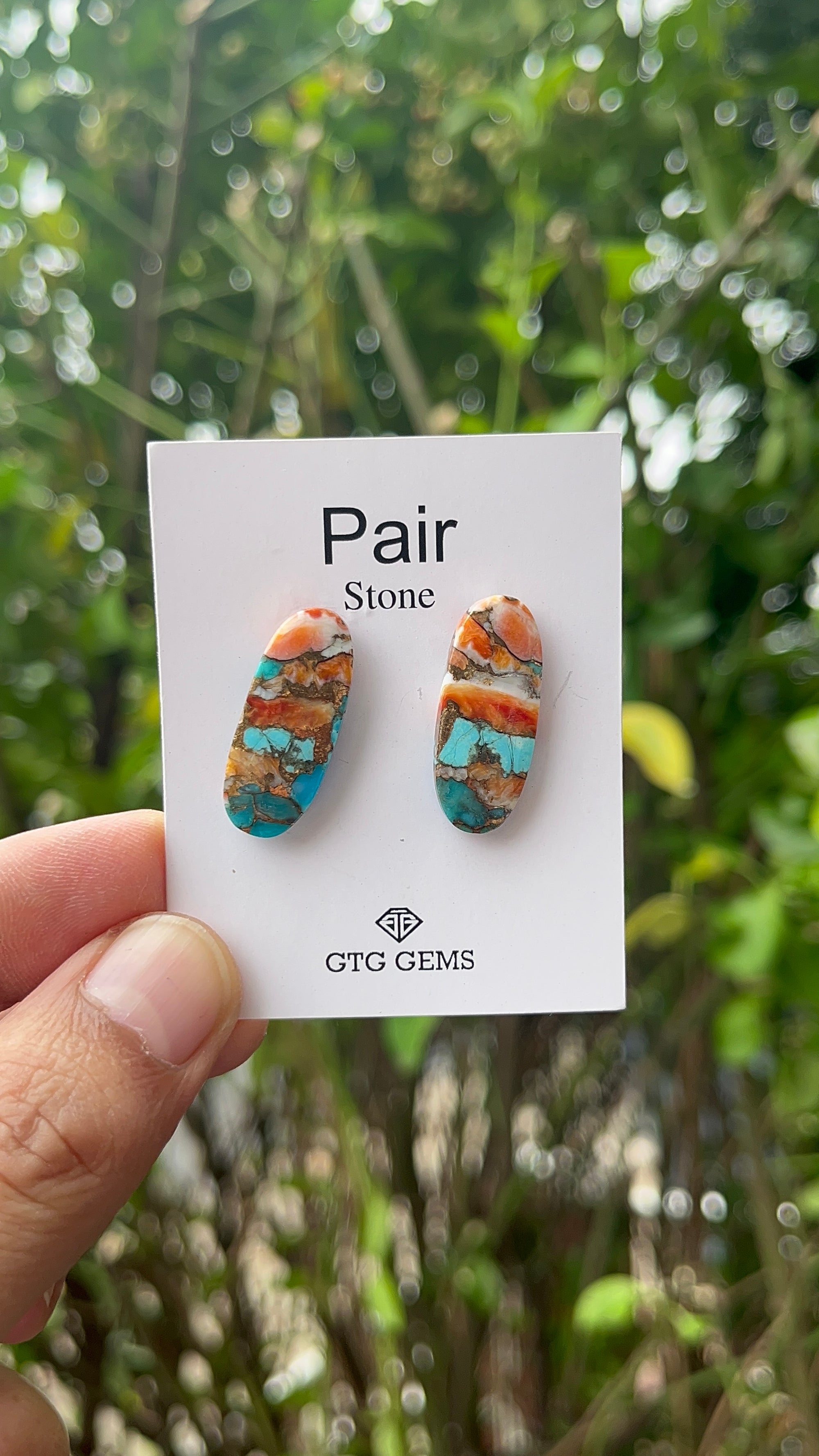 Oyster Copper Turquoise Cabochon Matching Pair 26x10 mm