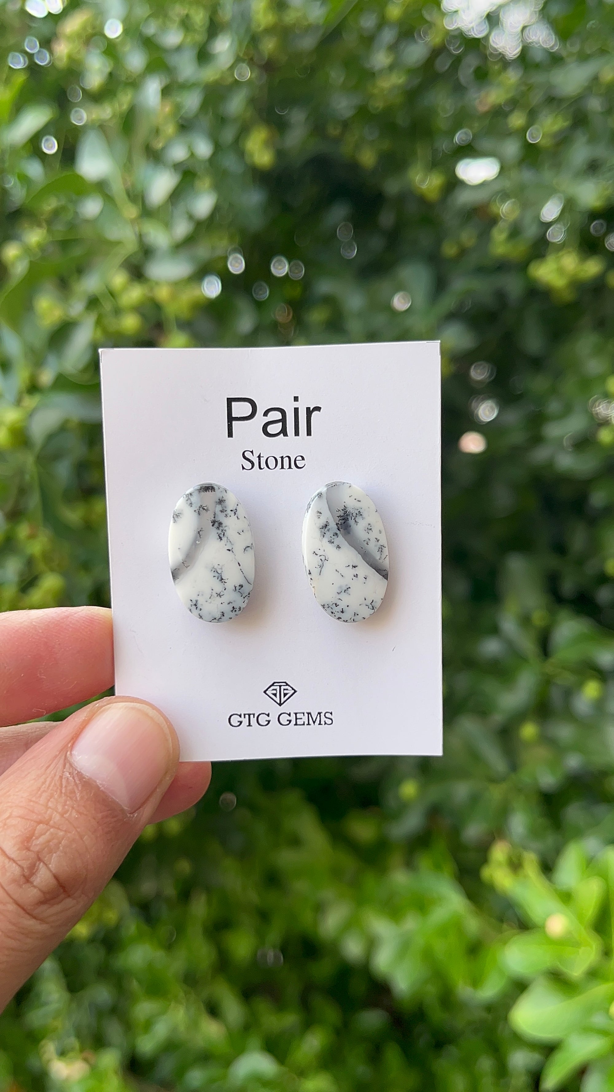 Dendritic Opal Cabochon Matching Pair 21x13 mm