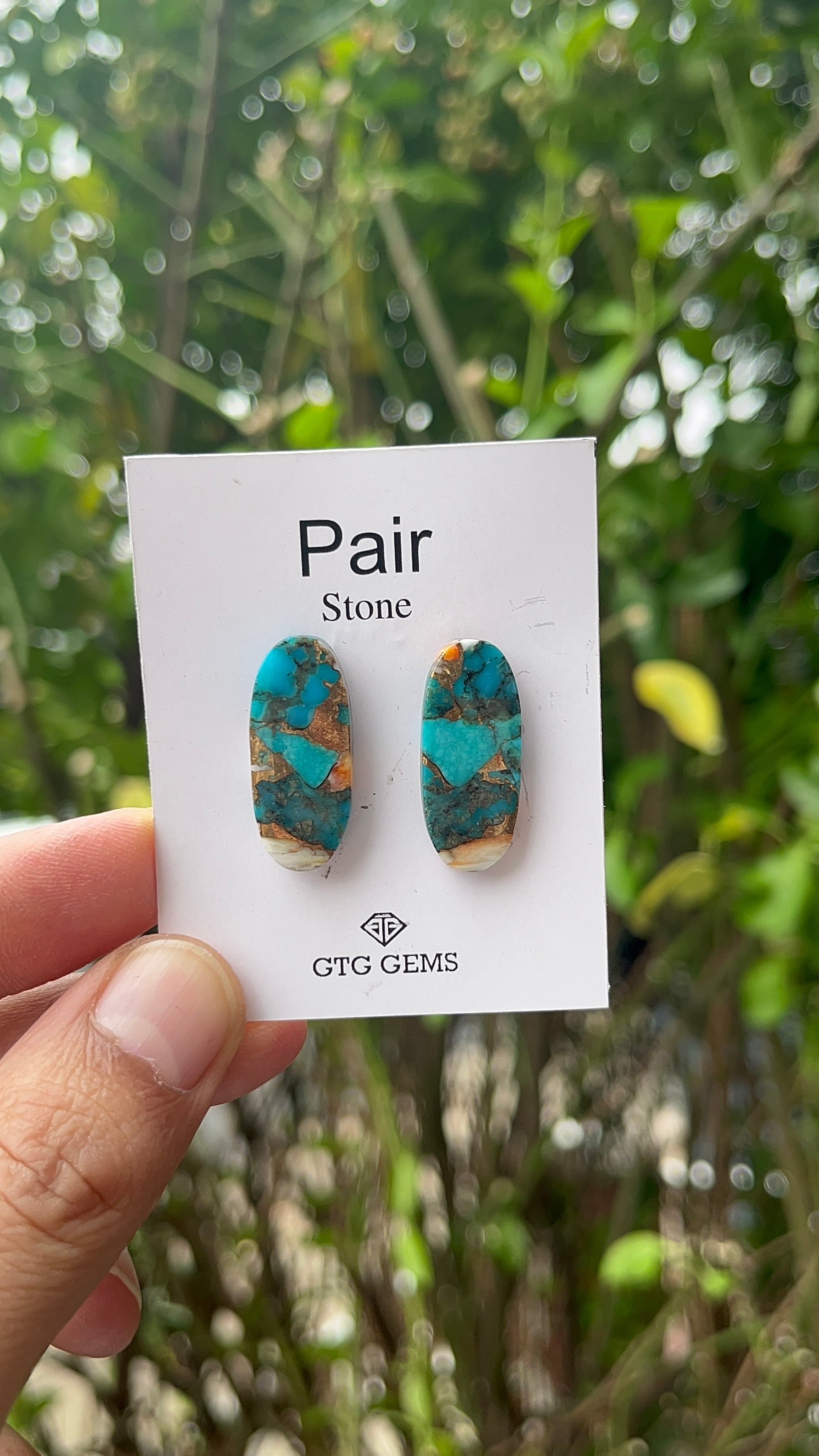 Oyster Copper Turquoise Cabochon Matching Pair 26x11 mm