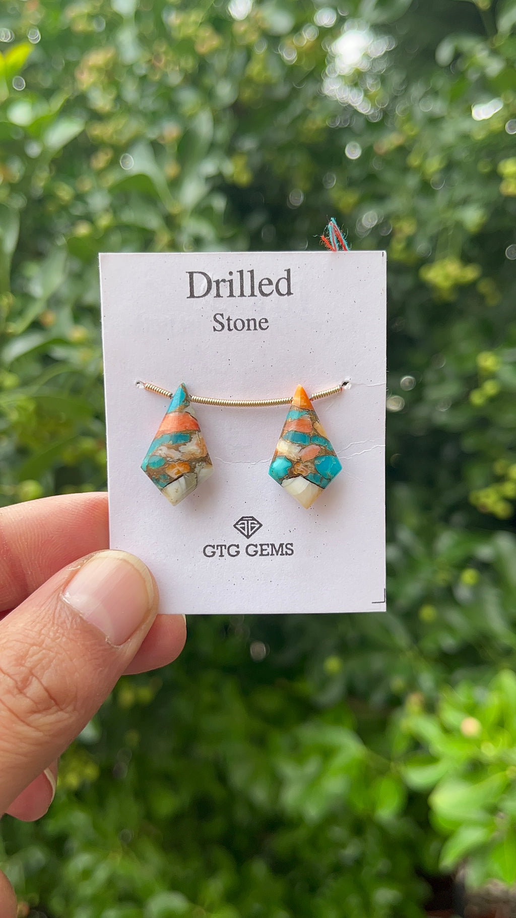 Drilled Oyster Turquoise 22x13mm Approximately 15 Carat (GTG-DOT-1)
