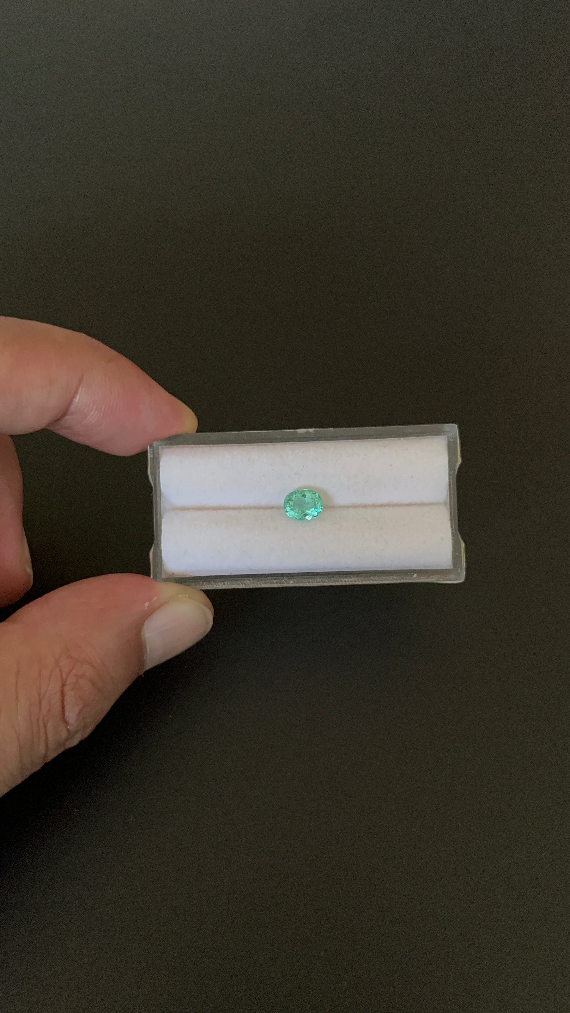 Natural Blue Apatite Faceted 6.3x5 mm Approximately .73 Carat (GTG-AP-123)
