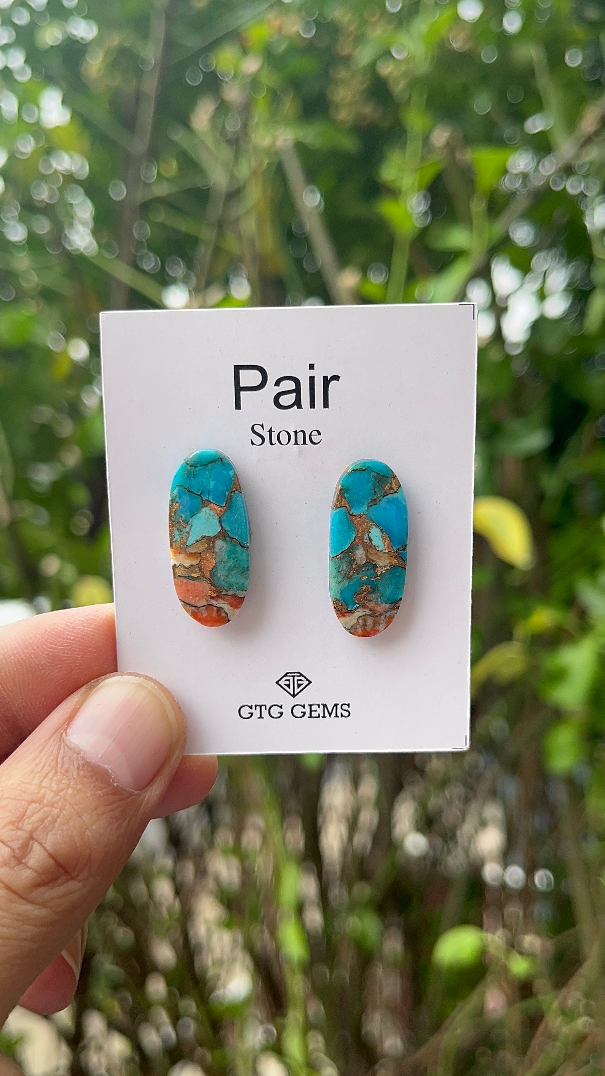 Oyster Copper Turquoise Cabochon Matching Pair 25x11 mm