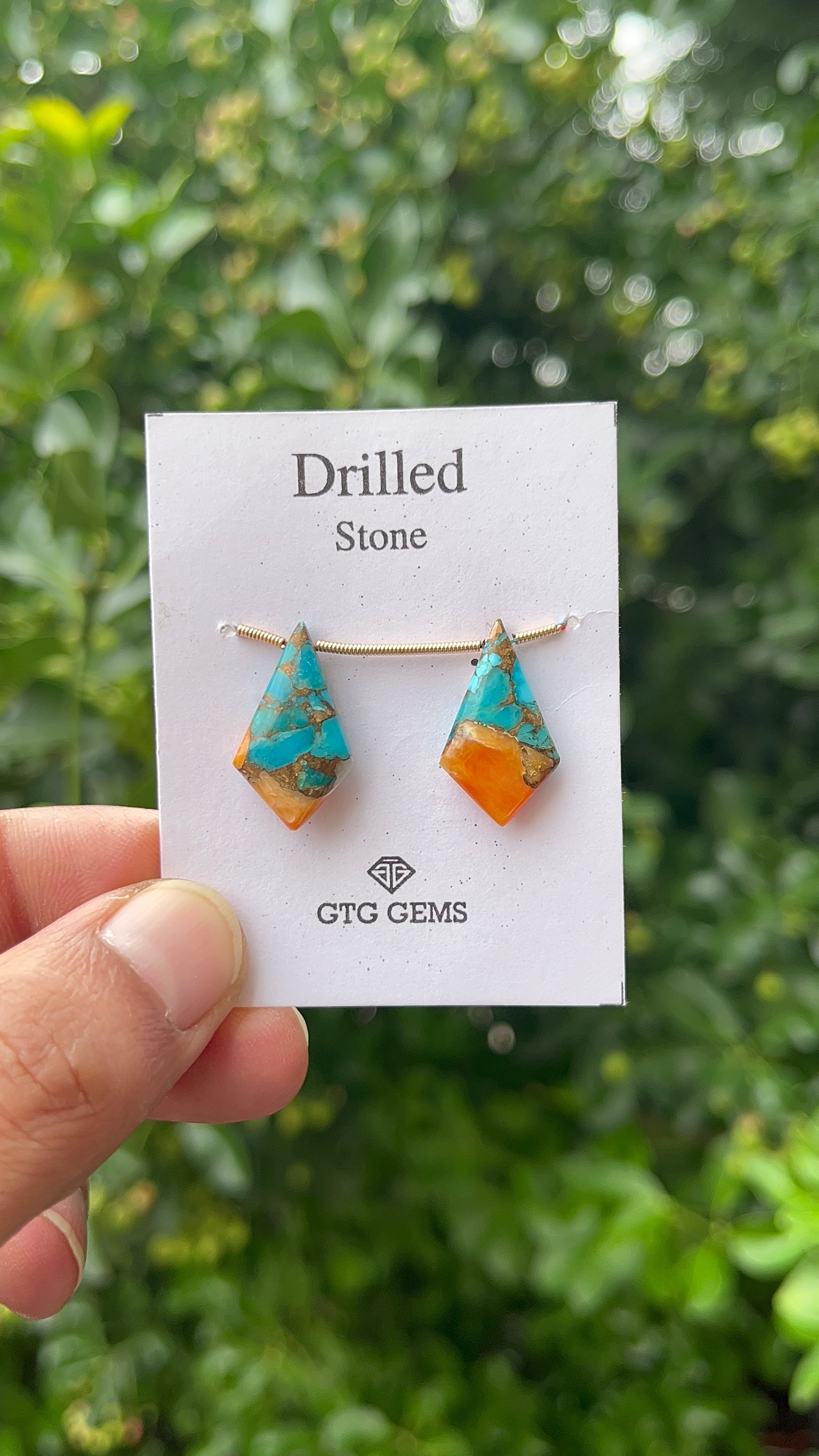 Drilled Oyster Turquoise 22x13mm Approximately 15 Carat (GTG-DOT-1)