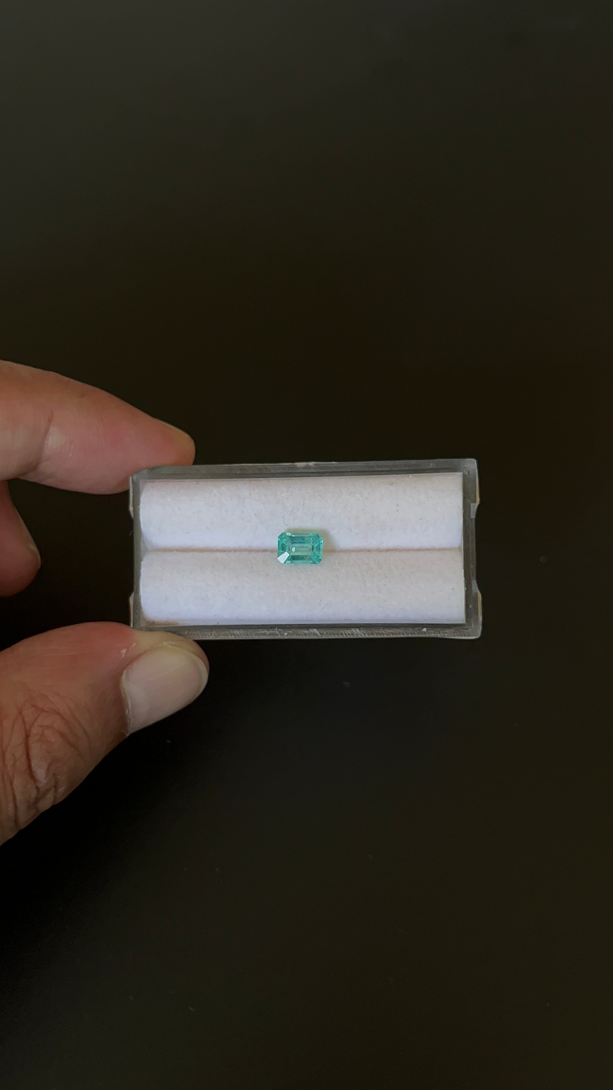 Natural Blue Apatite Faceted 6.4x4.5 mm Approximately .72 Carat (GTG-AP-125)