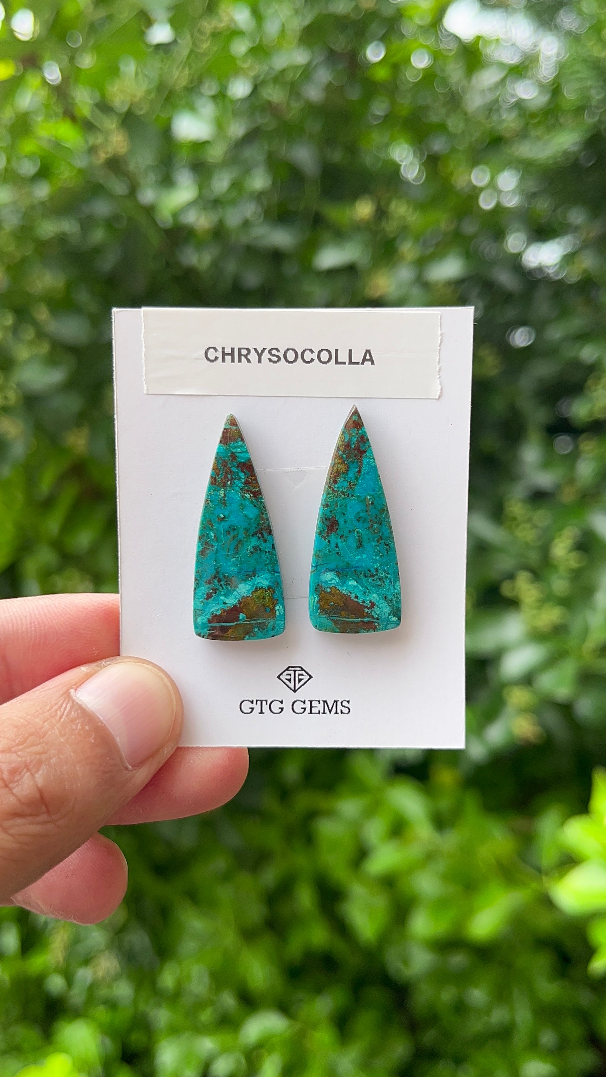 Chrysocolla Malachite Cabochon Matching Pair 32x13 mm