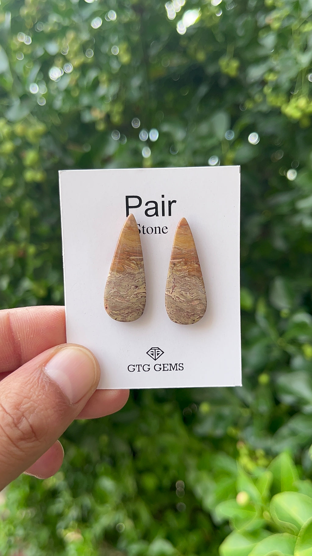 Picture Jasper 31x12mm Matching Pair Cabochon