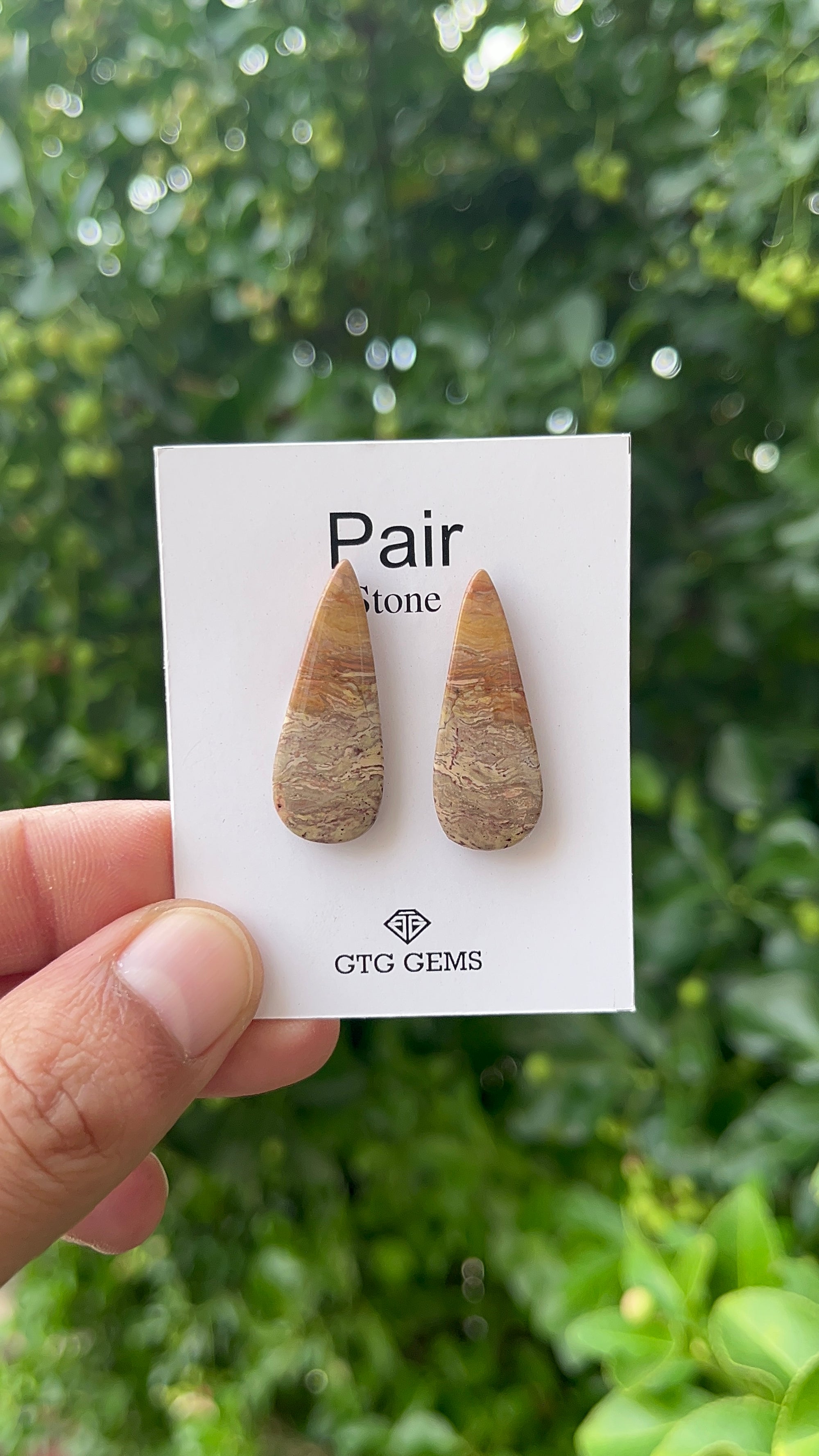 Picture Jasper 31x12mm Matching Pair Cabochon