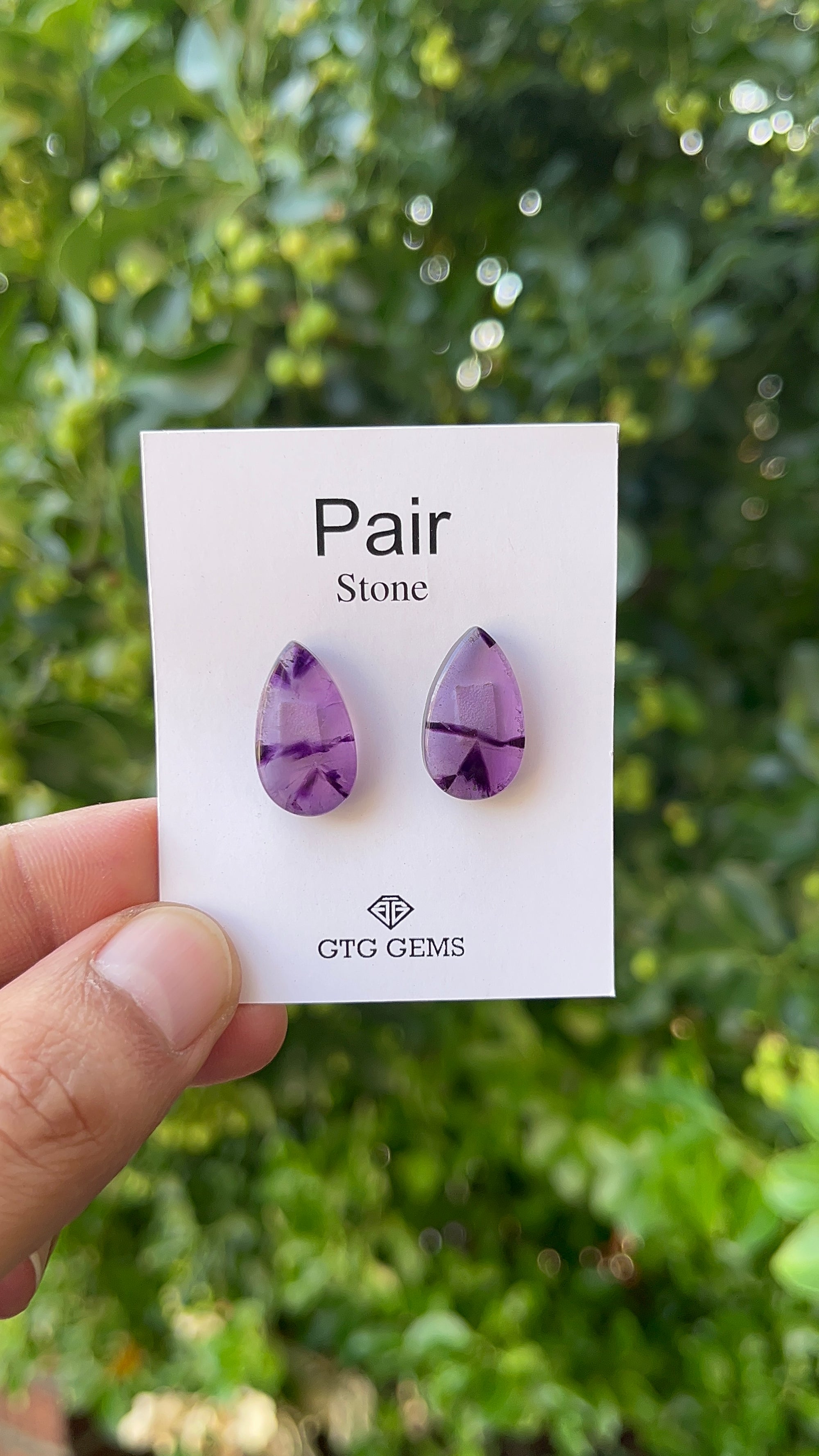 Star Amethyst Matching Pair Cabochon 15x12 mm, Approximately 15.50 Carat (GTG-AM-21)