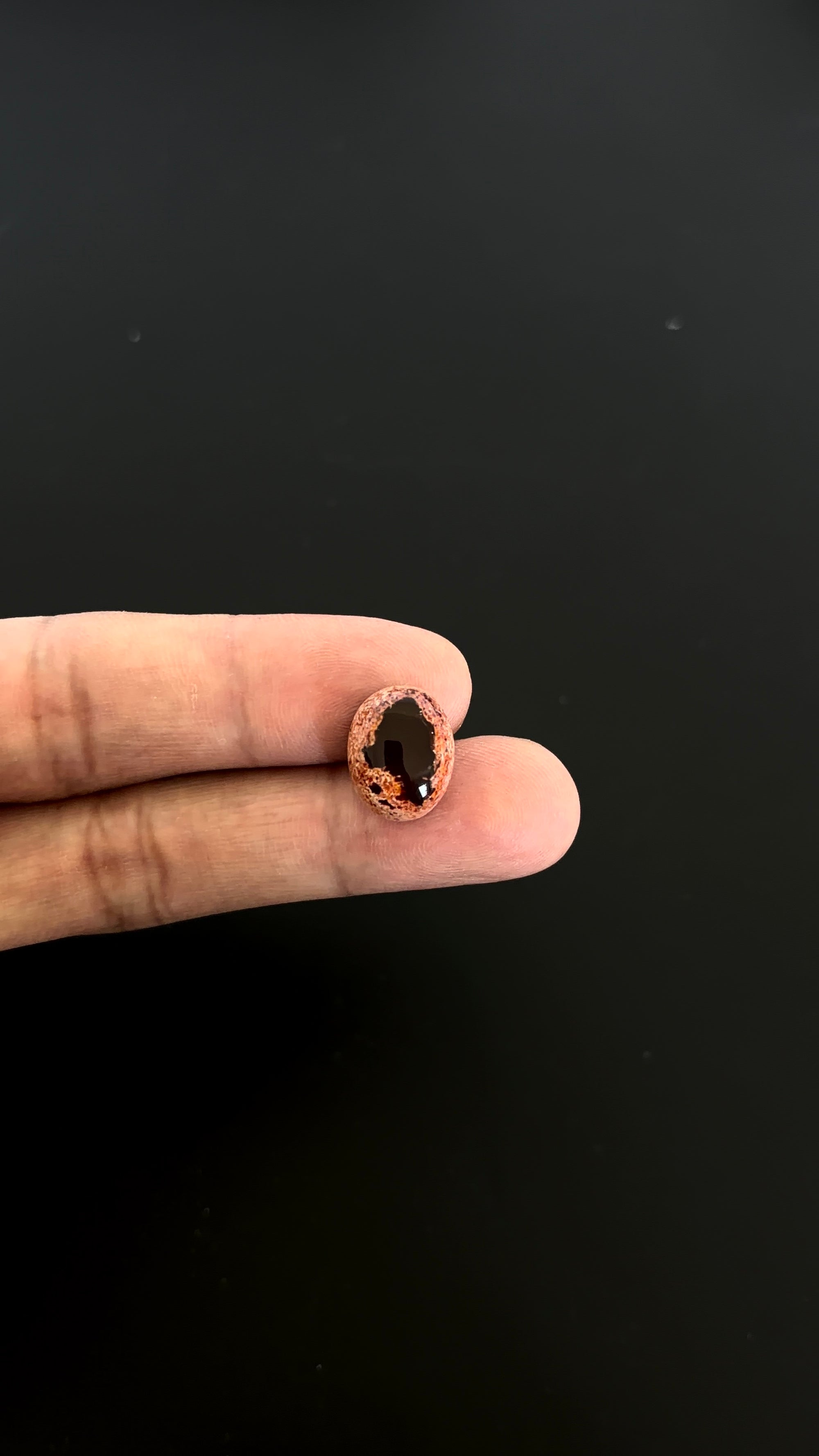 Mexican Fire Opal Cabochon 15x12 mm Approximately 10.11 Carat