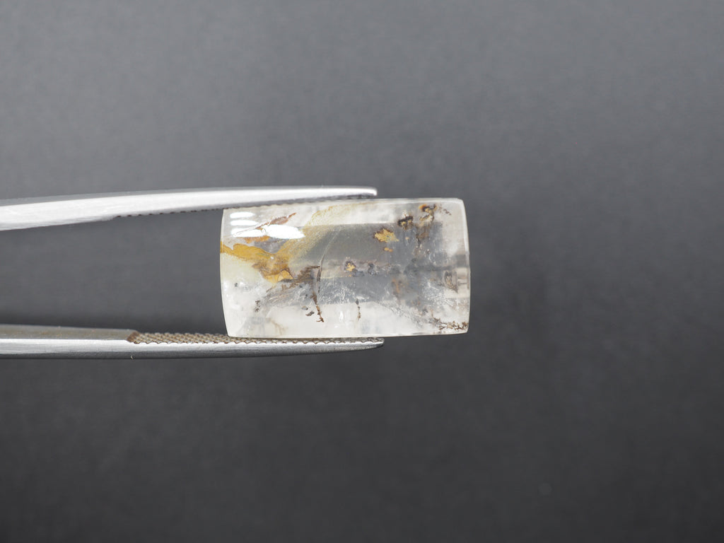 Dendrite Quartz 20x11 mm