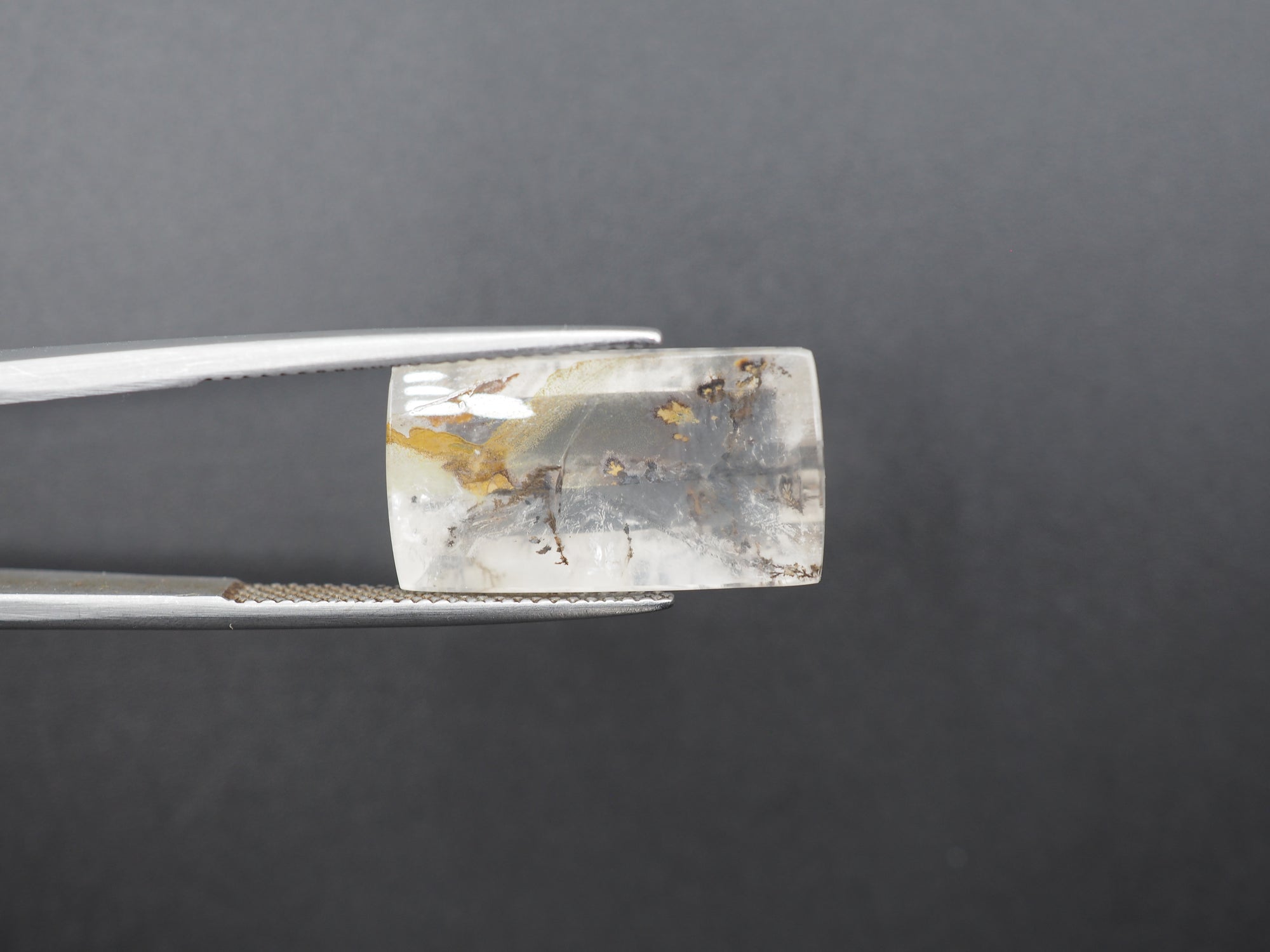 Dendrite Quartz 20x11 mm