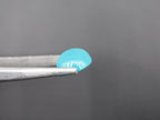 Arizona Turquoise Cabochon 15x12 mm Approximately 8.29 Carat (GTG-AT-4)