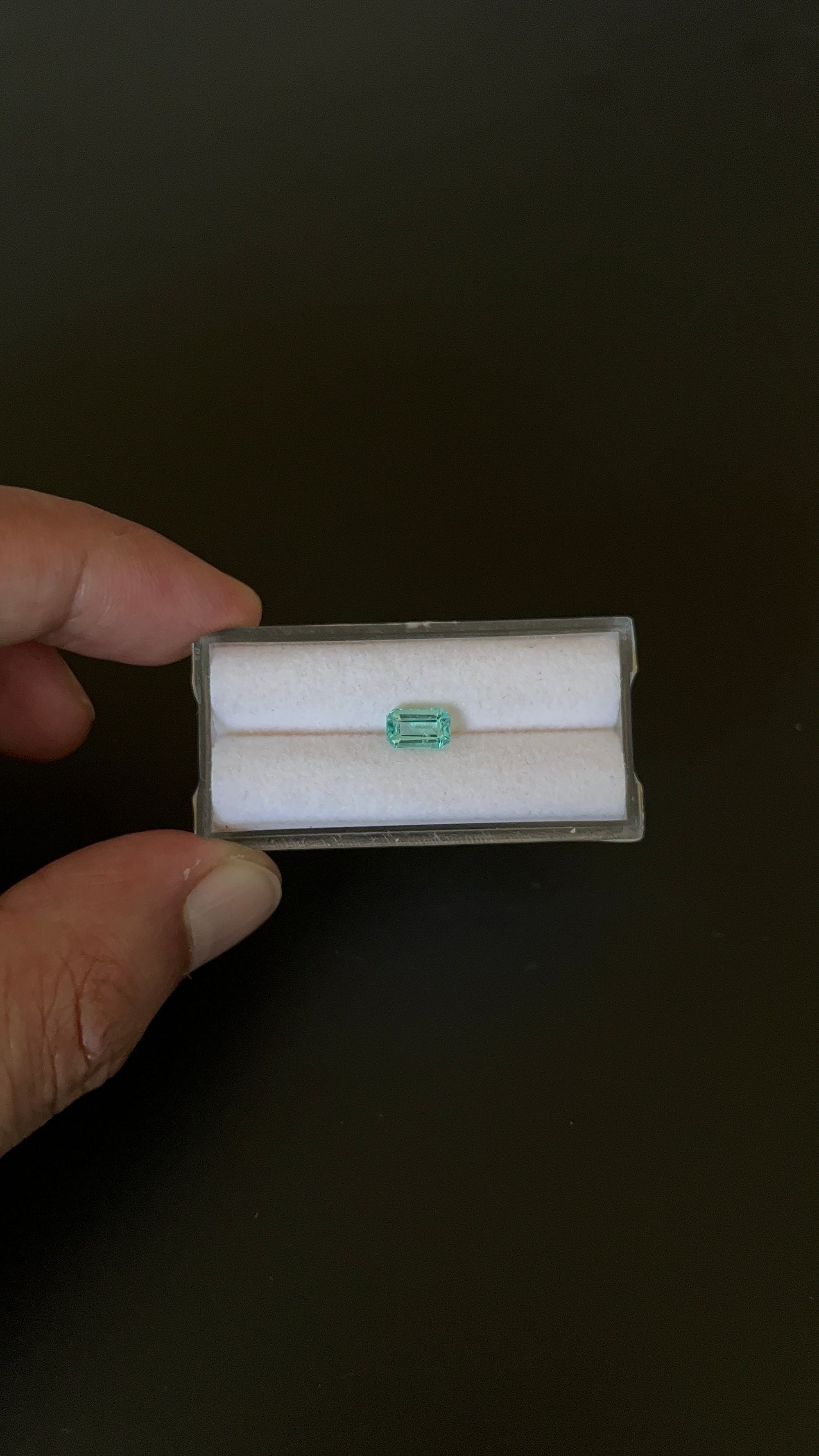 Natural Blue Apatite Faceted 7.2x4.5 mm Approximately .98 Carat (GTG-AP-128)