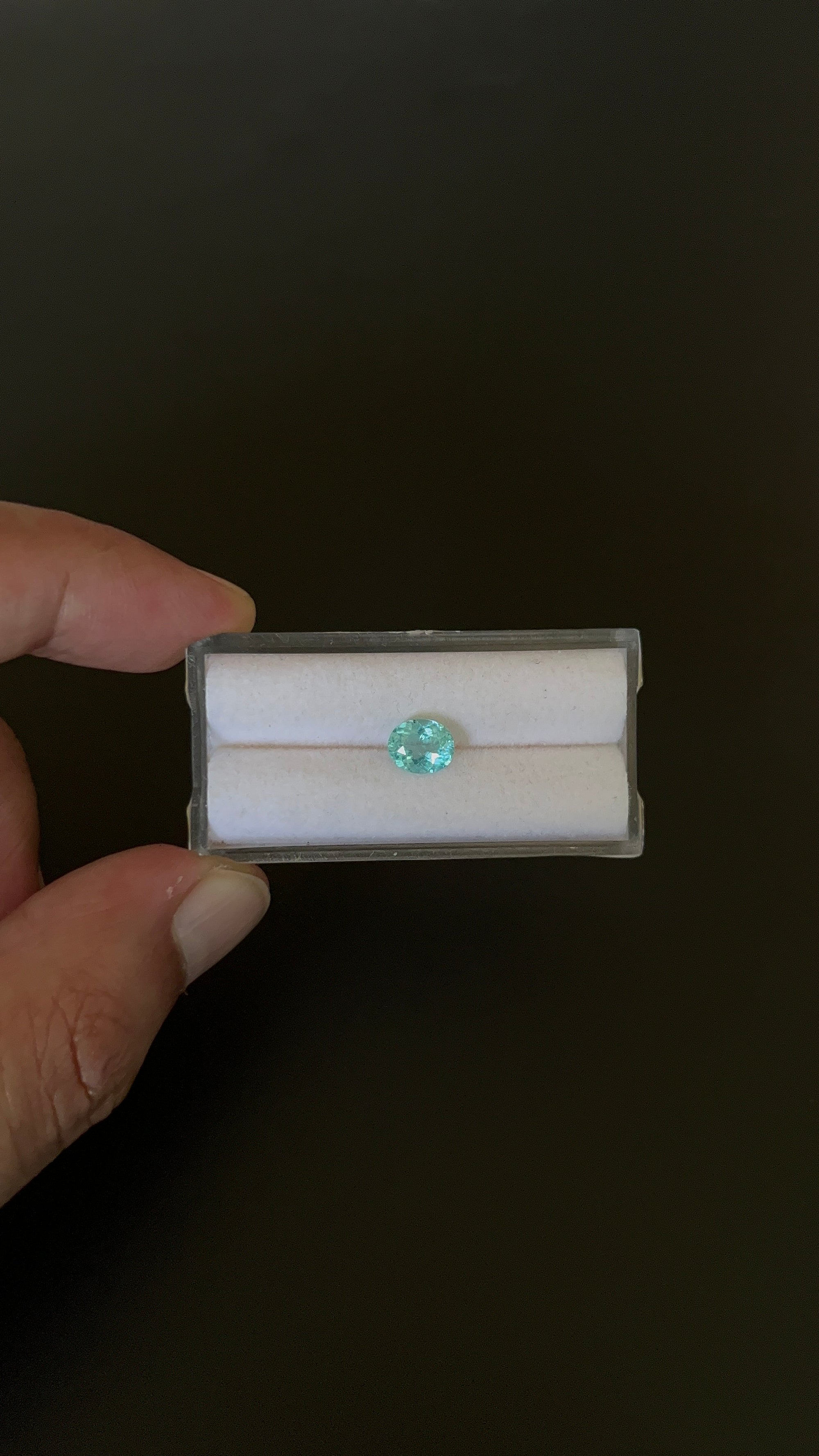 Natural Blue Apatite Faceted 7.2x6 mm Approximately 1.14 Carat (GTG-AP-129)