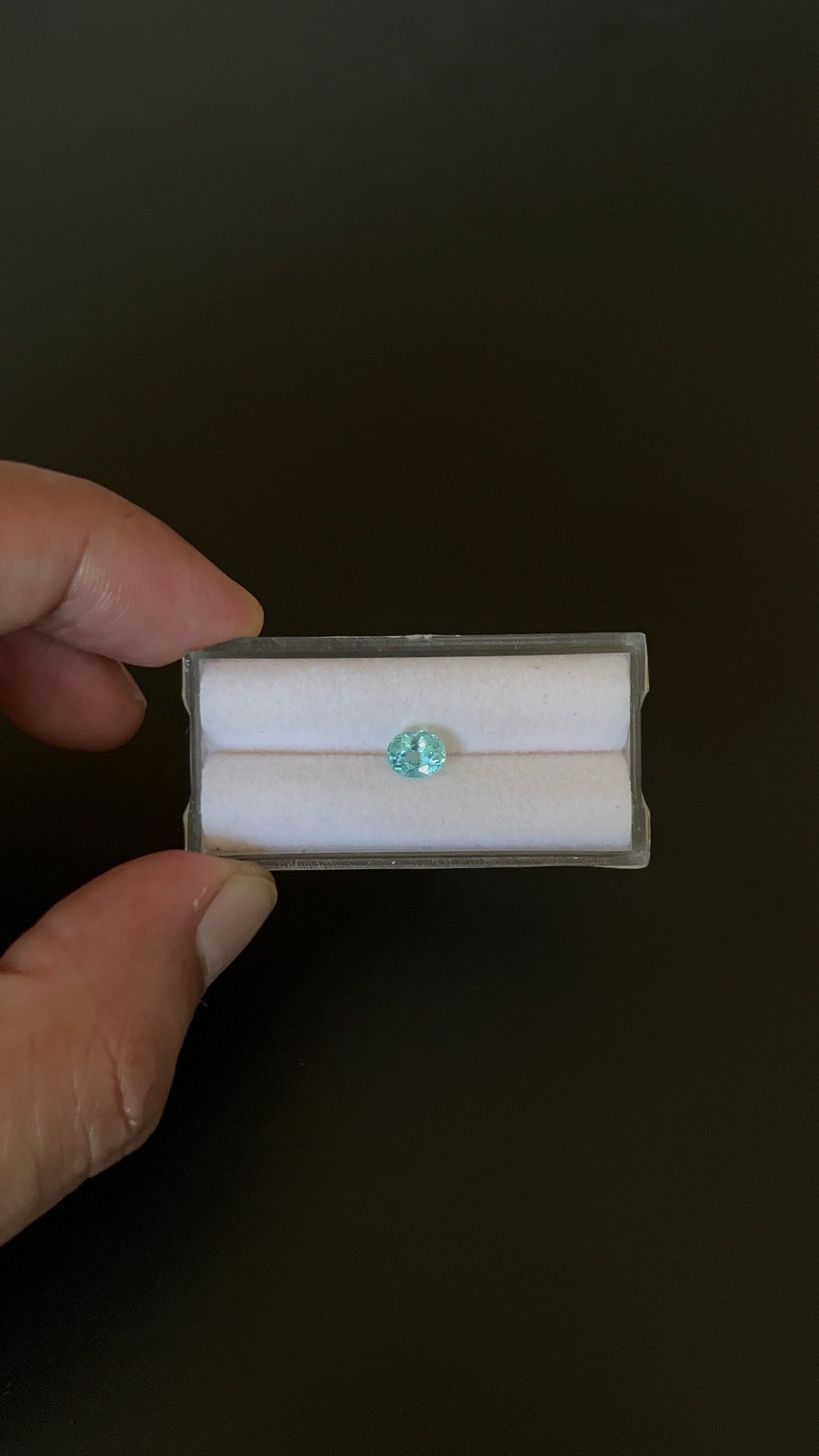 Natural Blue Apatite Faceted 6.3x5.1 mm Approximately .79 Carat (GTG-AP-131)