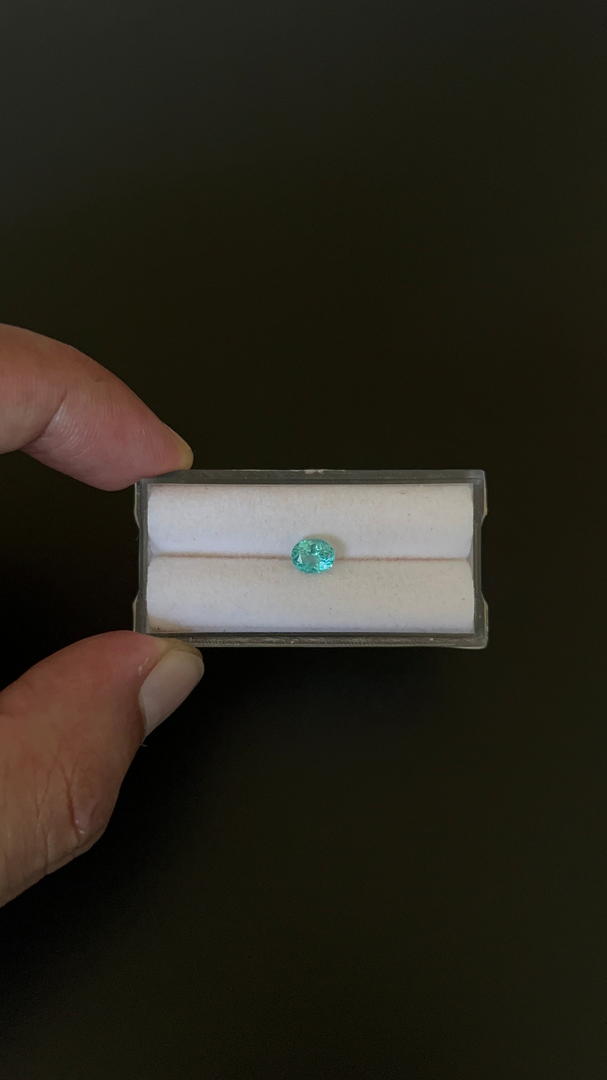 Natural Blue Apatite Faceted 6.2x5 mm Approximately .72 Carat (GTG-AP-141)