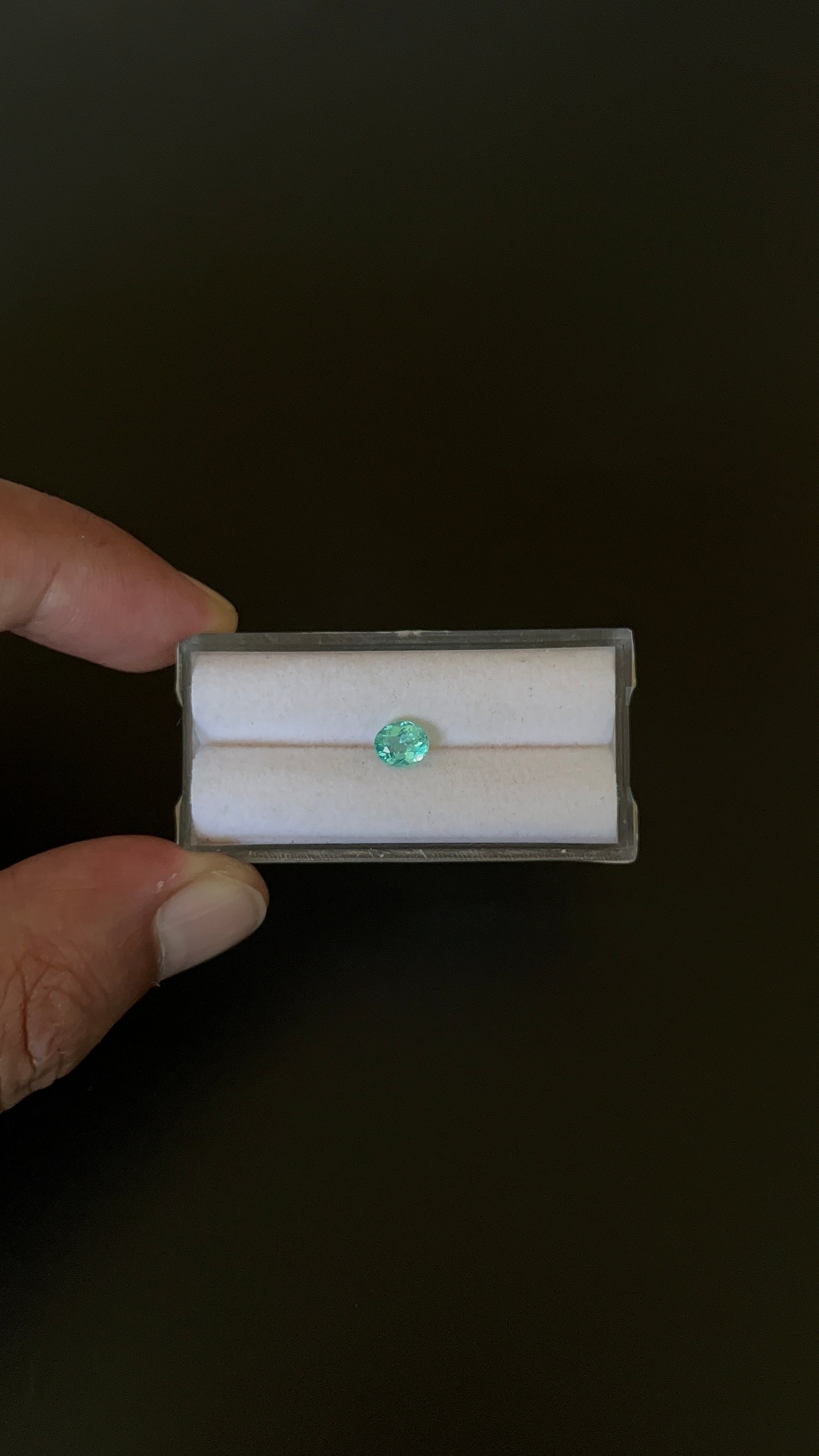 Natural Blue Apatite Faceted 5.9x4.9 mm Approximately .64 Carat (GTG-AP-144)