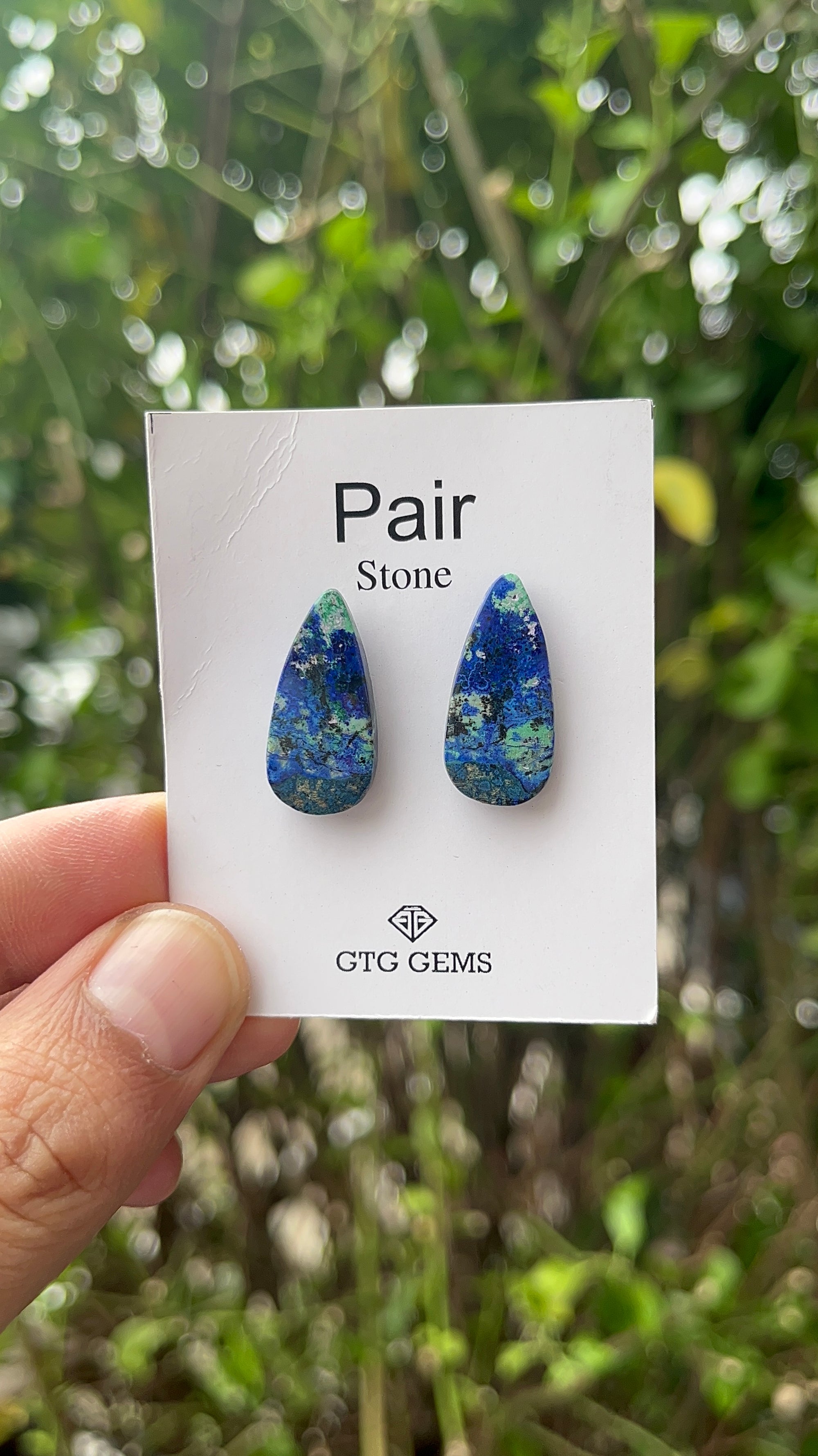 Azurite Malachite Cabochon Matching Pair 23x11 mm
