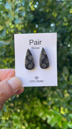 Black Fossil, Cabochon Matching Pair 25x12 mm, Approximately 21 carat (GTG-MBF-4)