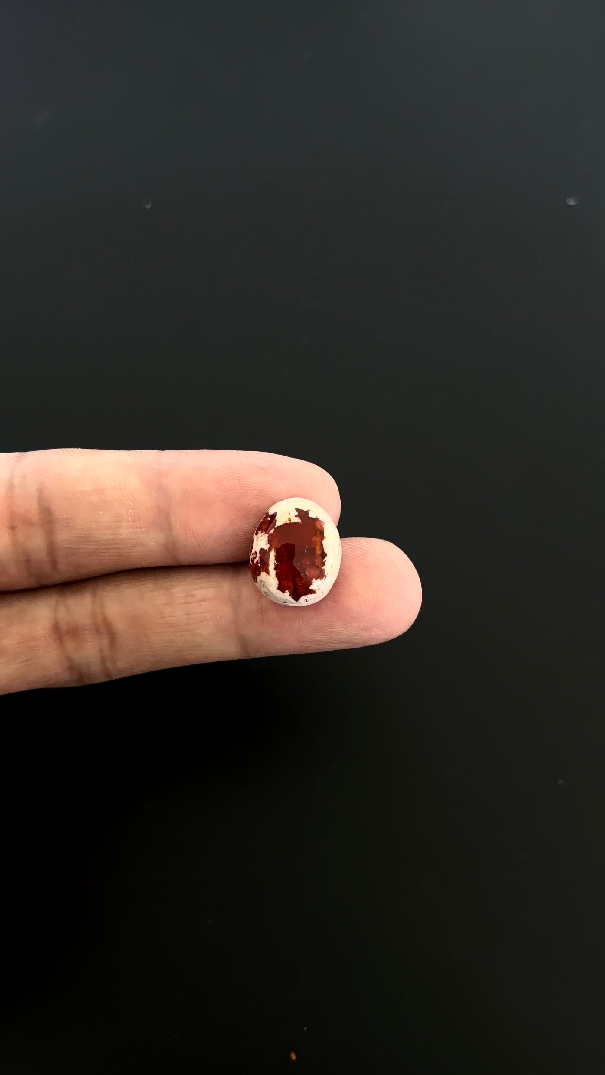 Mexican Fire Opal Cabochon 16x13 mm Approximately 9.34 Carat