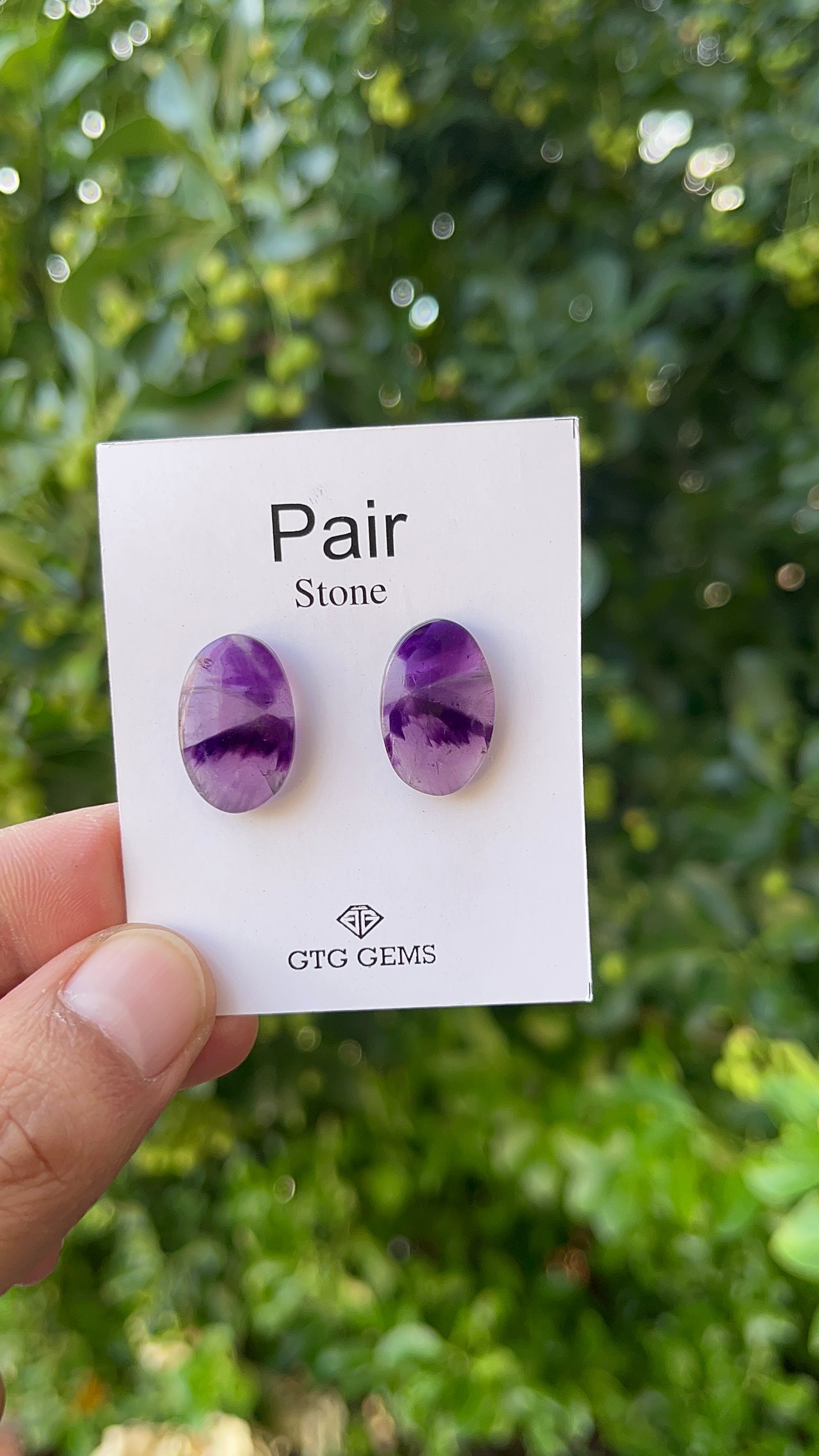 Star Amethyst Matching Pair Cabochon 19x12 mm, Approximately 15.50 Carat (GTG-AM-19)