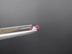Rhodolite Garnet Faceted Round 5mm Approximately 1.64 Carat, 2 Pieces