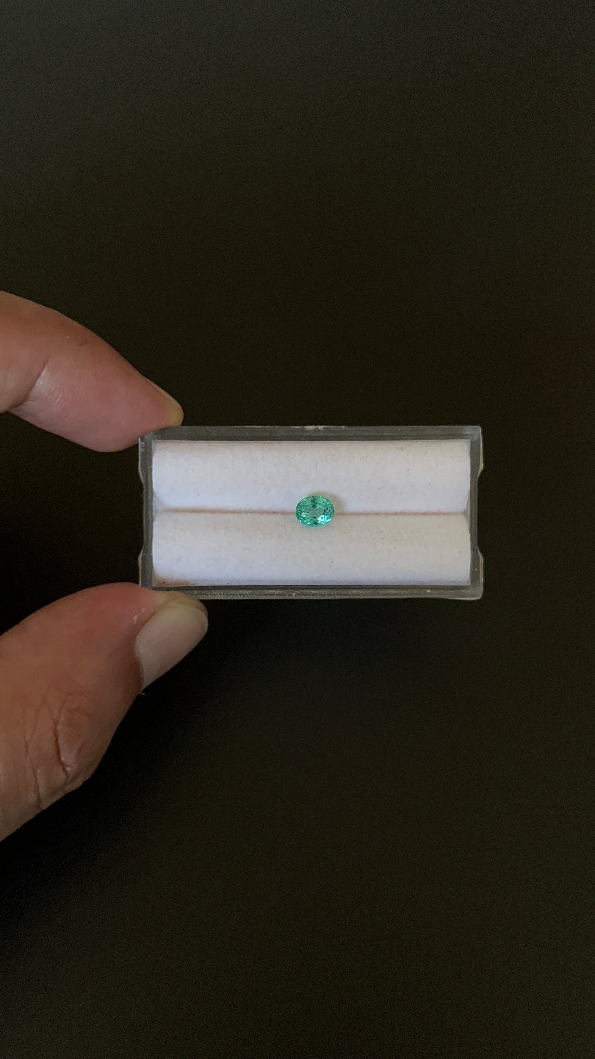 Natural Blue Apatite Faceted 5.6x4.5 mm Approximately .65 Carat (GTG-AP-145)