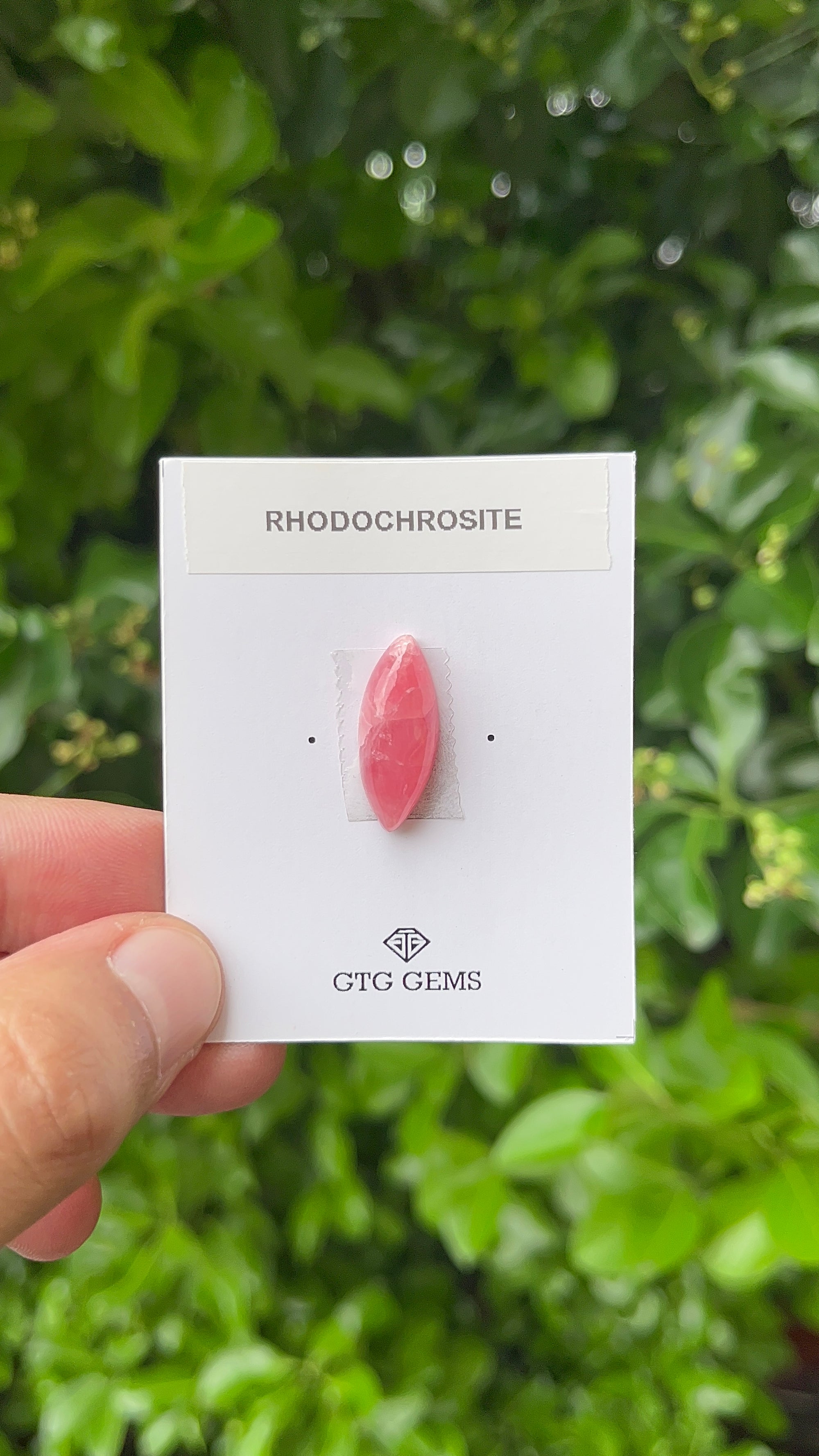 Rhodochrosite Cabochon, Rhodochrosite 22x19 mm, Approximately 11.26 carat (GTG-RCH-65)