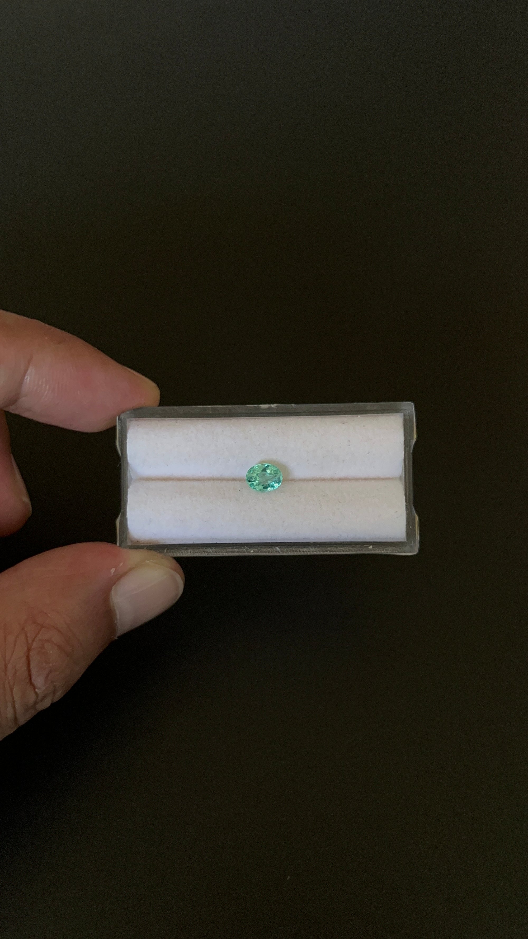 Natural Blue Apatite Faceted 6.1x4.7 mm Approximately .62 Carat (GTG-AP-133)