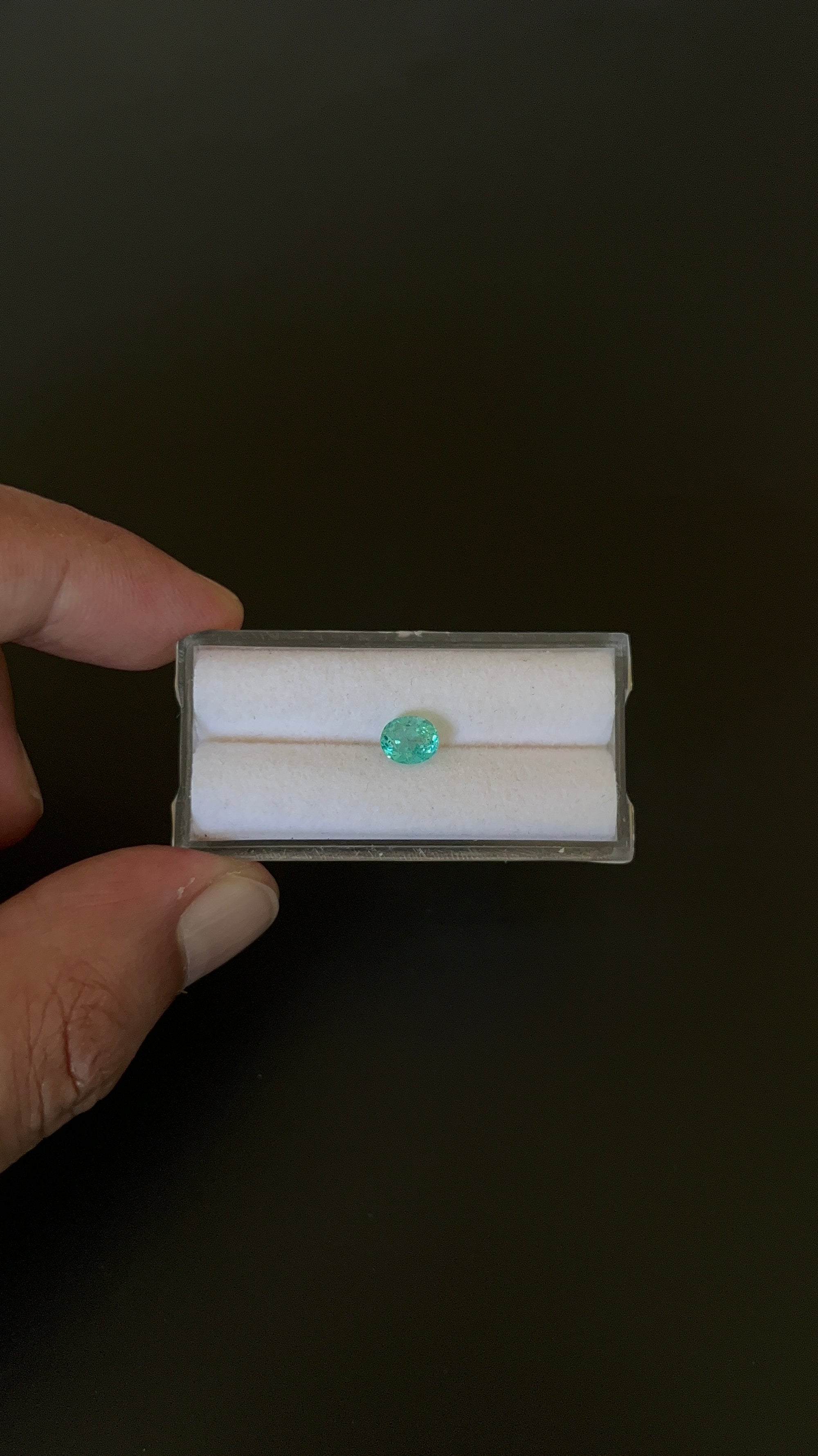 Natural Blue Apatite Faceted 6.3x5.3 mm Approximately .89 Carat (GTG-AP-138)