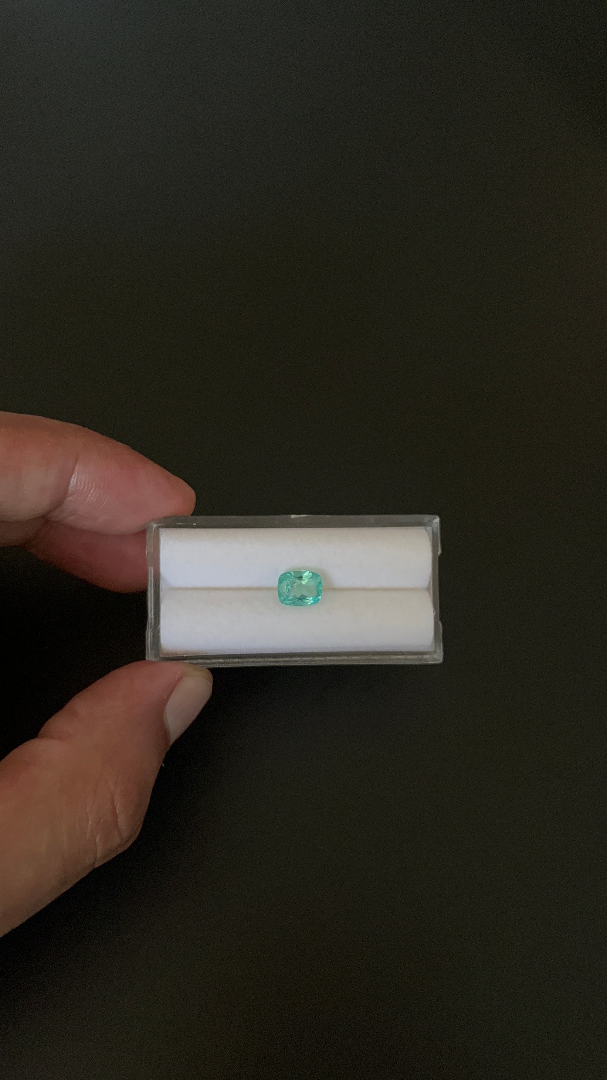 Natural Blue Apatite Faceted 7.6x5.9 mm Approximately 1.27 Carat (GTG-AP-92)