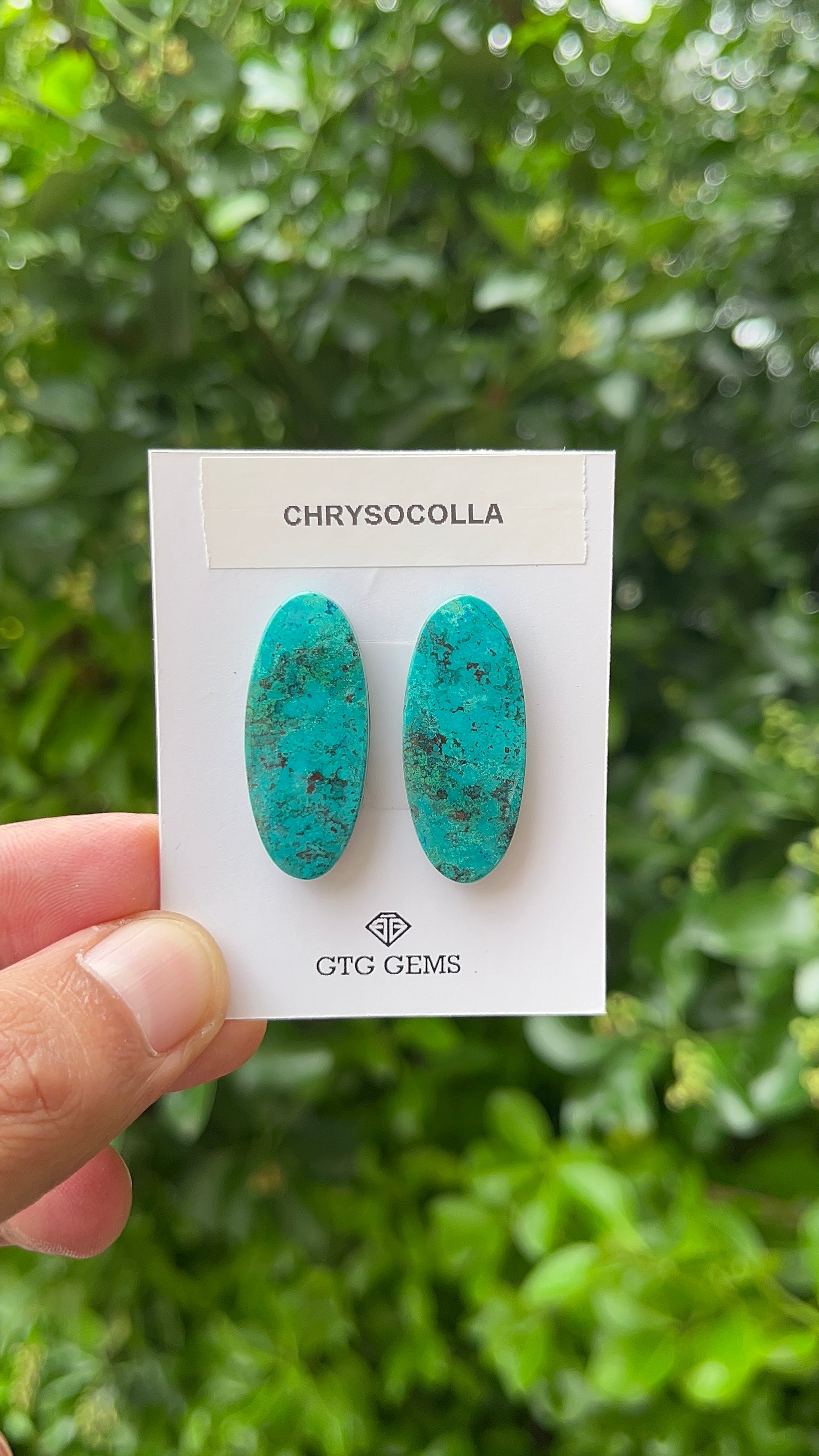 Chrysocolla Malachite Cabochon Matching Pair 32x13.50 mm