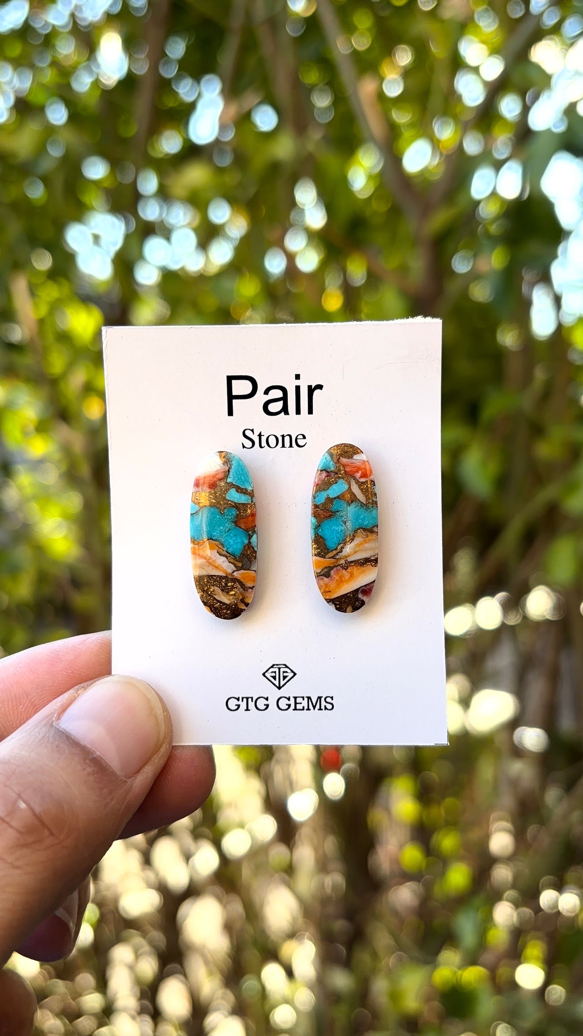 Oyster Copper Turquoise Cabochon Matching Pair 24x8 mm