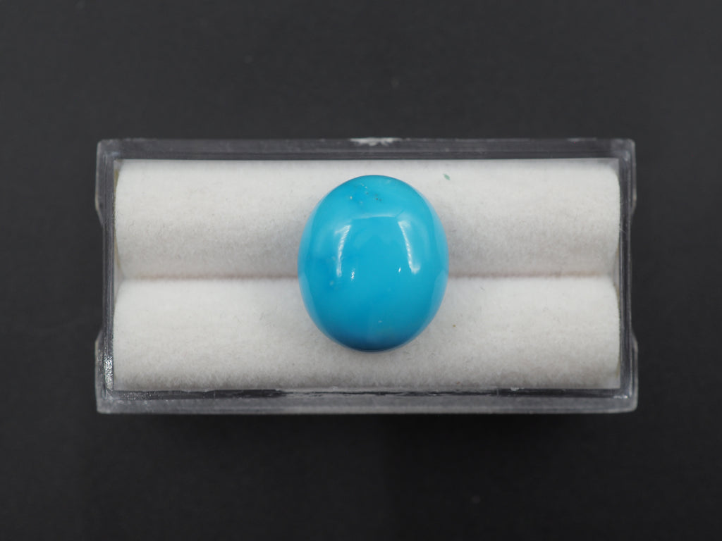 Arizona Turquoise Cabochon 15x12 mm Approximately 8.29 Carat (GTG-AT-6)