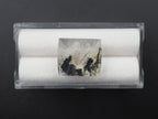 Dendrite Quartz 16x13 mm