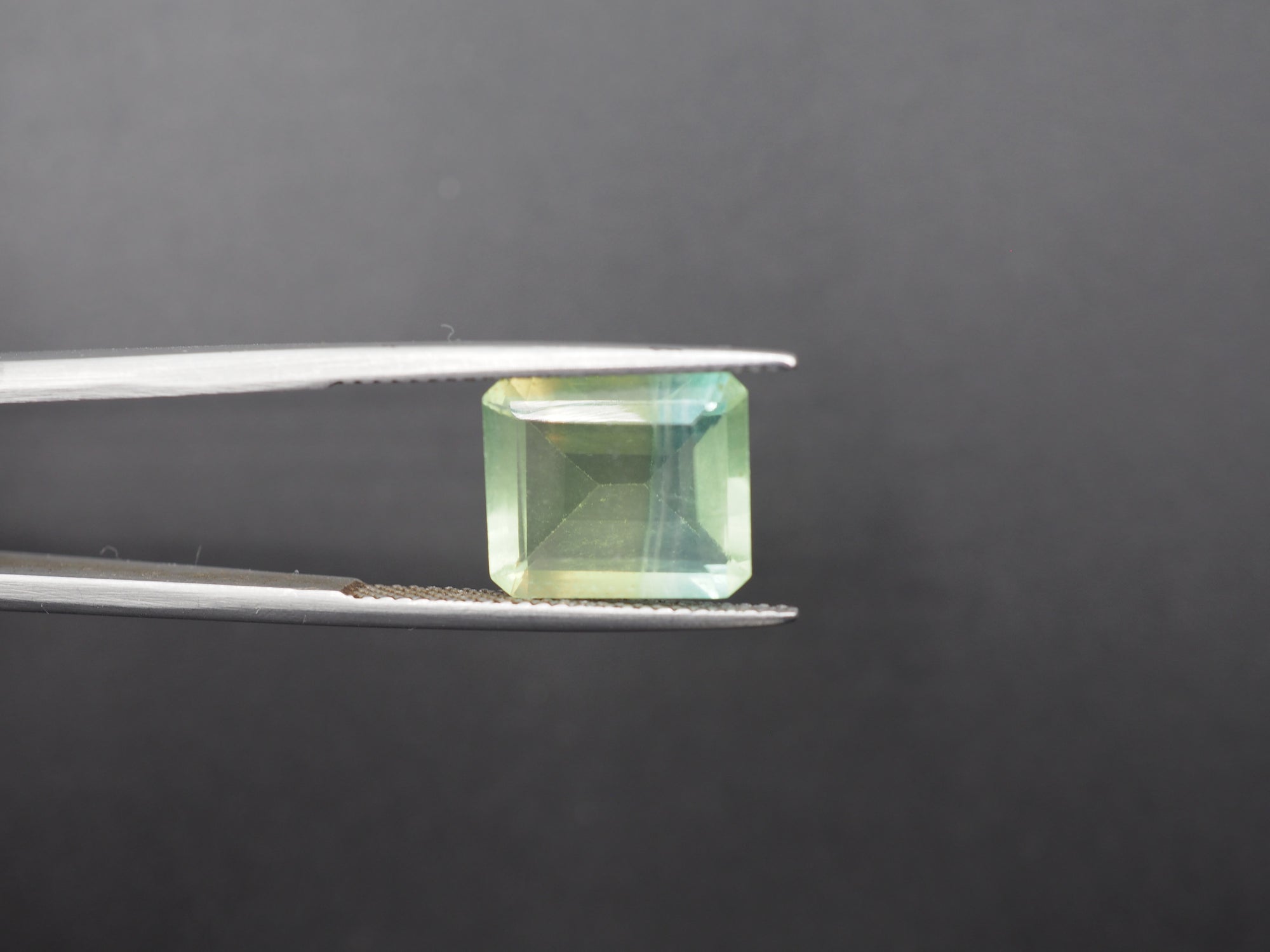 Fluorite Faceted Gemstone 12x10 mm