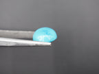 Arizona Turquoise Cabochon 15x12 mm Approximately 8.29 Carat (GTG-AT-6)
