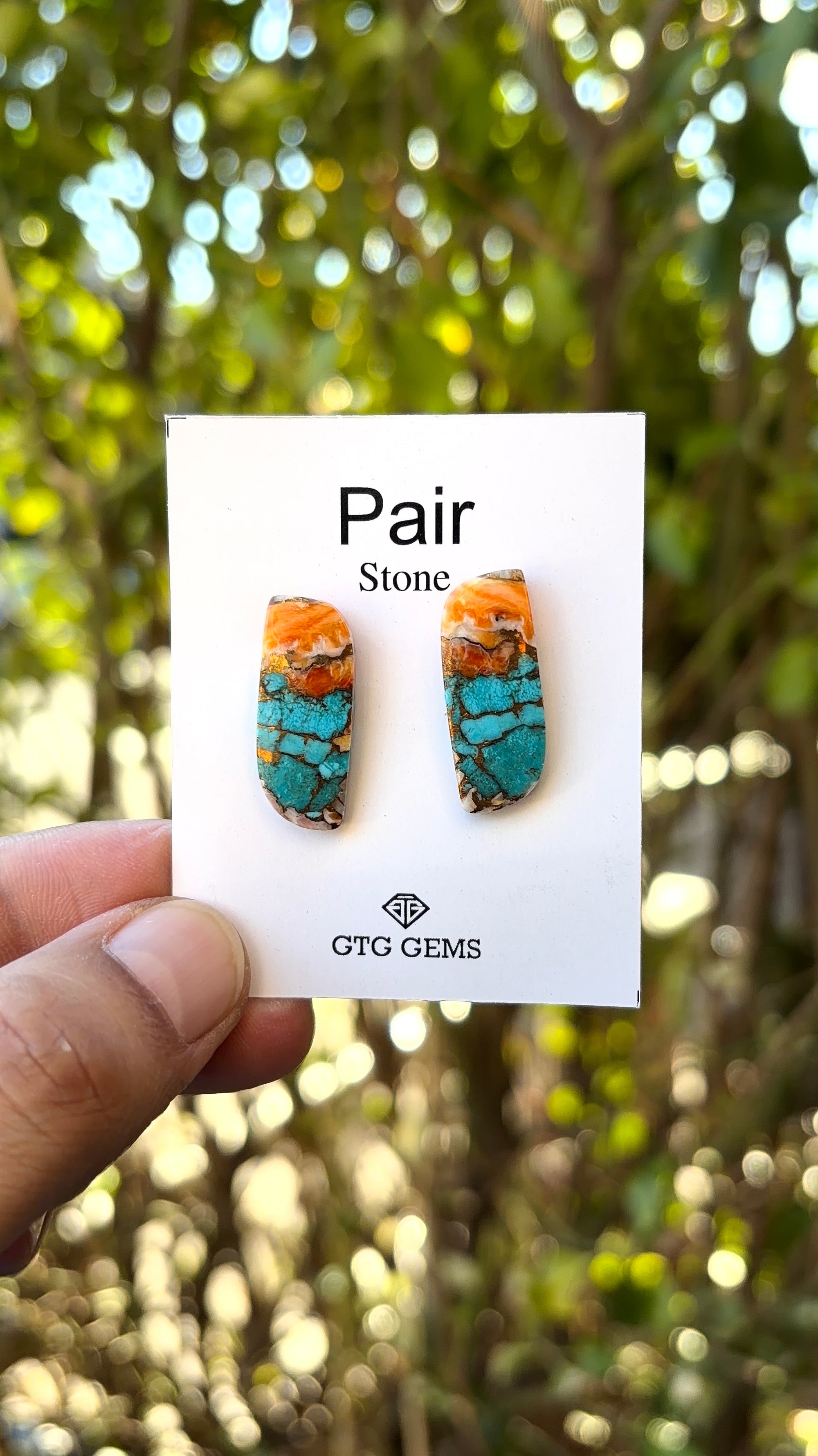 Oyster Copper Turquoise Cabochon Matching Pair 26x11 mm