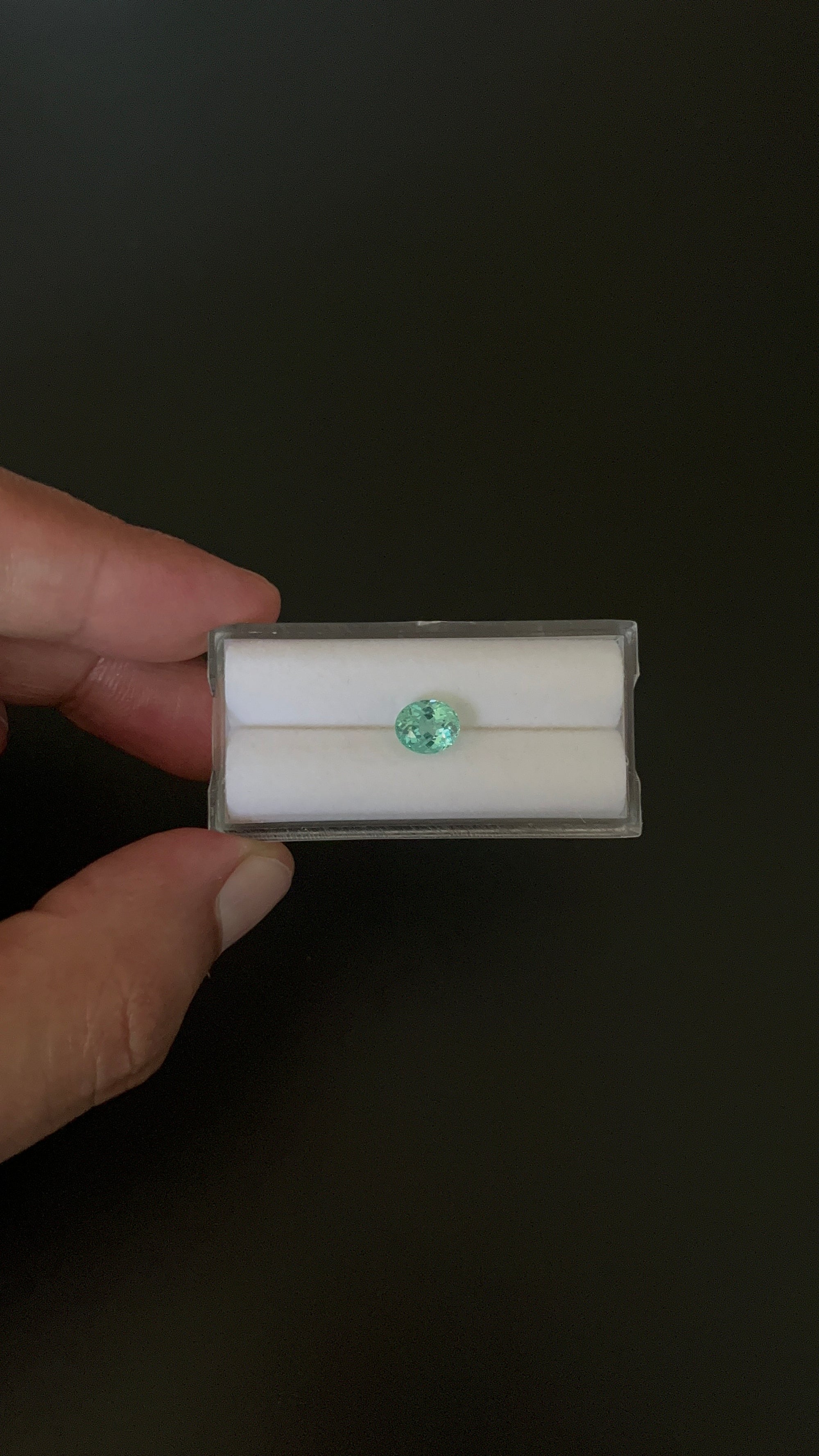 Natural Blue Apatite Faceted 7.4x6.3 mm Approximately 1.51 Carat (GTG-AP-93)