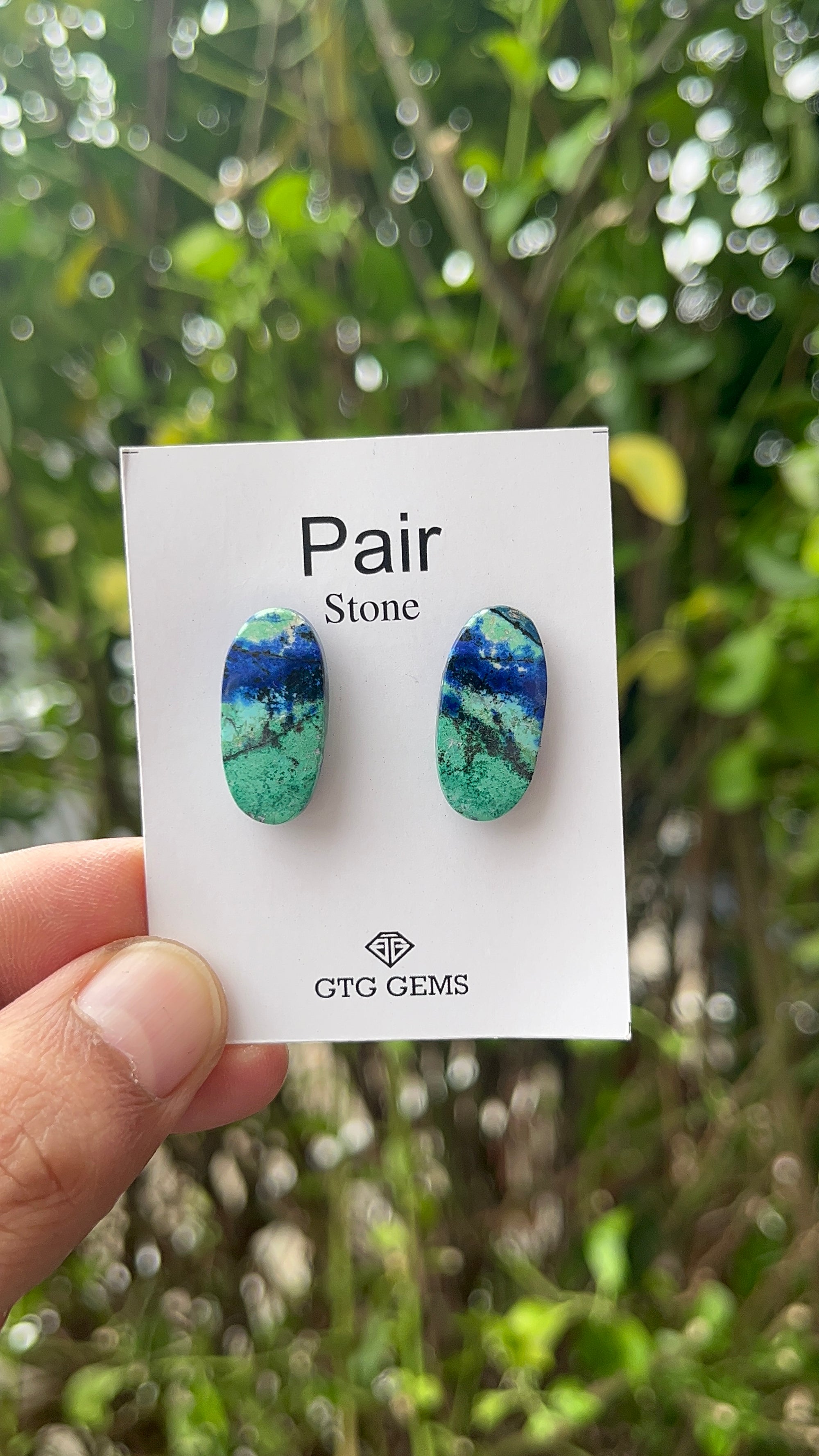 Azurite Malachite Cabochon Matching Pair 22x10.50 mm