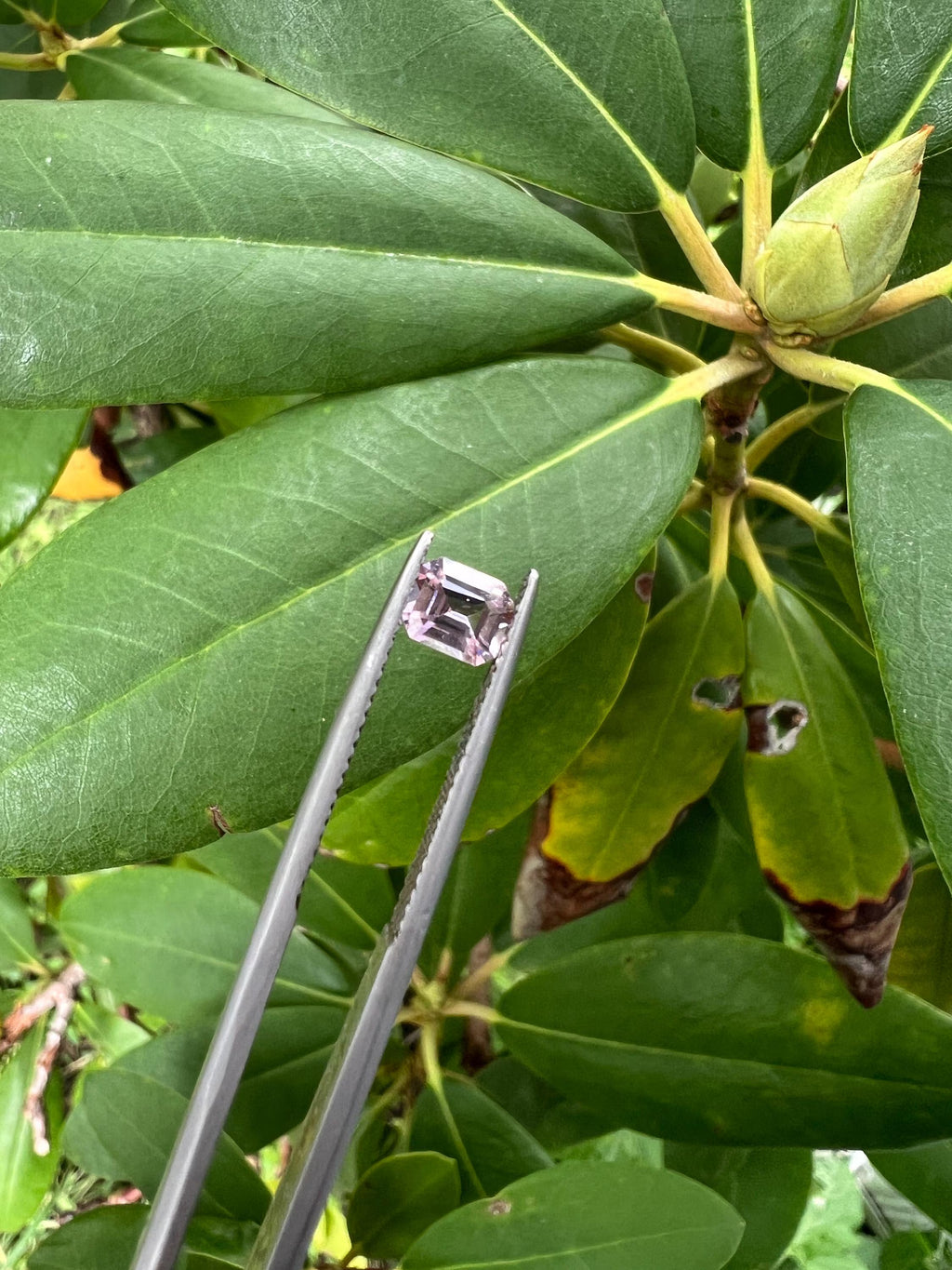 Spinel Emerald Cut 5.8x4.9x3.2mm Single Piece Approximately 0.65 Carat (GTG-SP-22)
