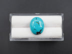 Arizona Turquoise Cabochon 16x13 mm Approximately 7.77 Carat (GTG-AT-7)