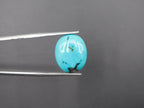 Arizona Turquoise Cabochon 16x13 mm Approximately 7.77 Carat (GTG-AT-7)