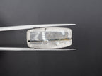 Dendrite Quartz 22x10 mm