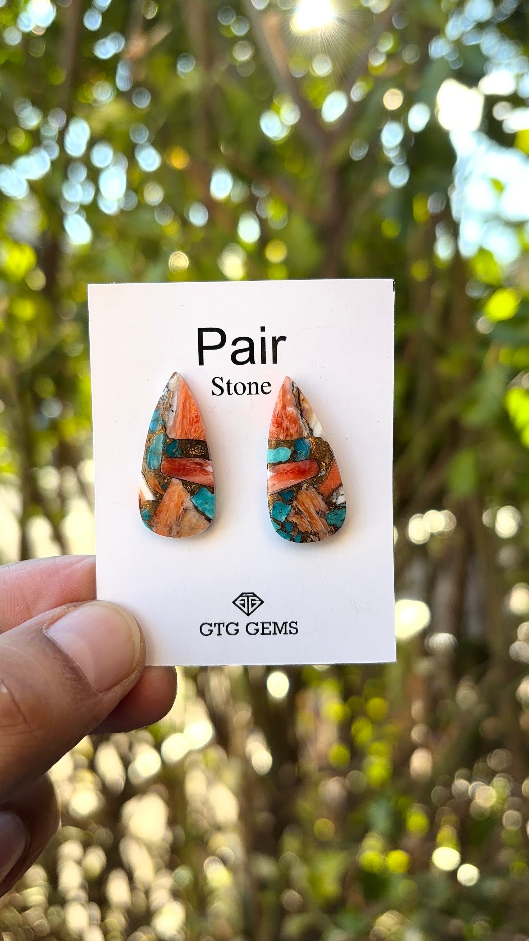 Oyster Copper Turquoise Cabochon Matching Pair 26x11 mm